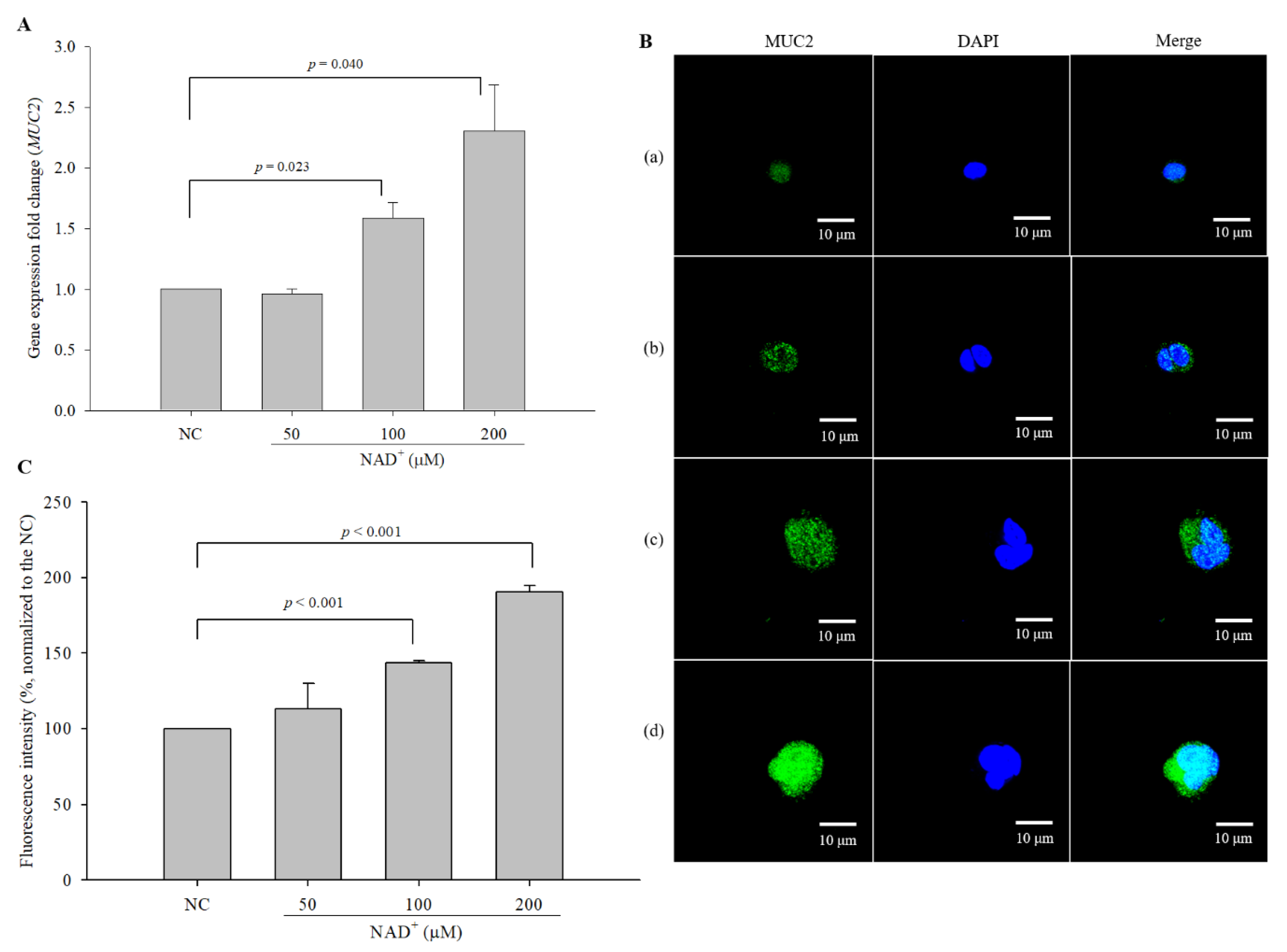 Biomolecules 10 00580 g002