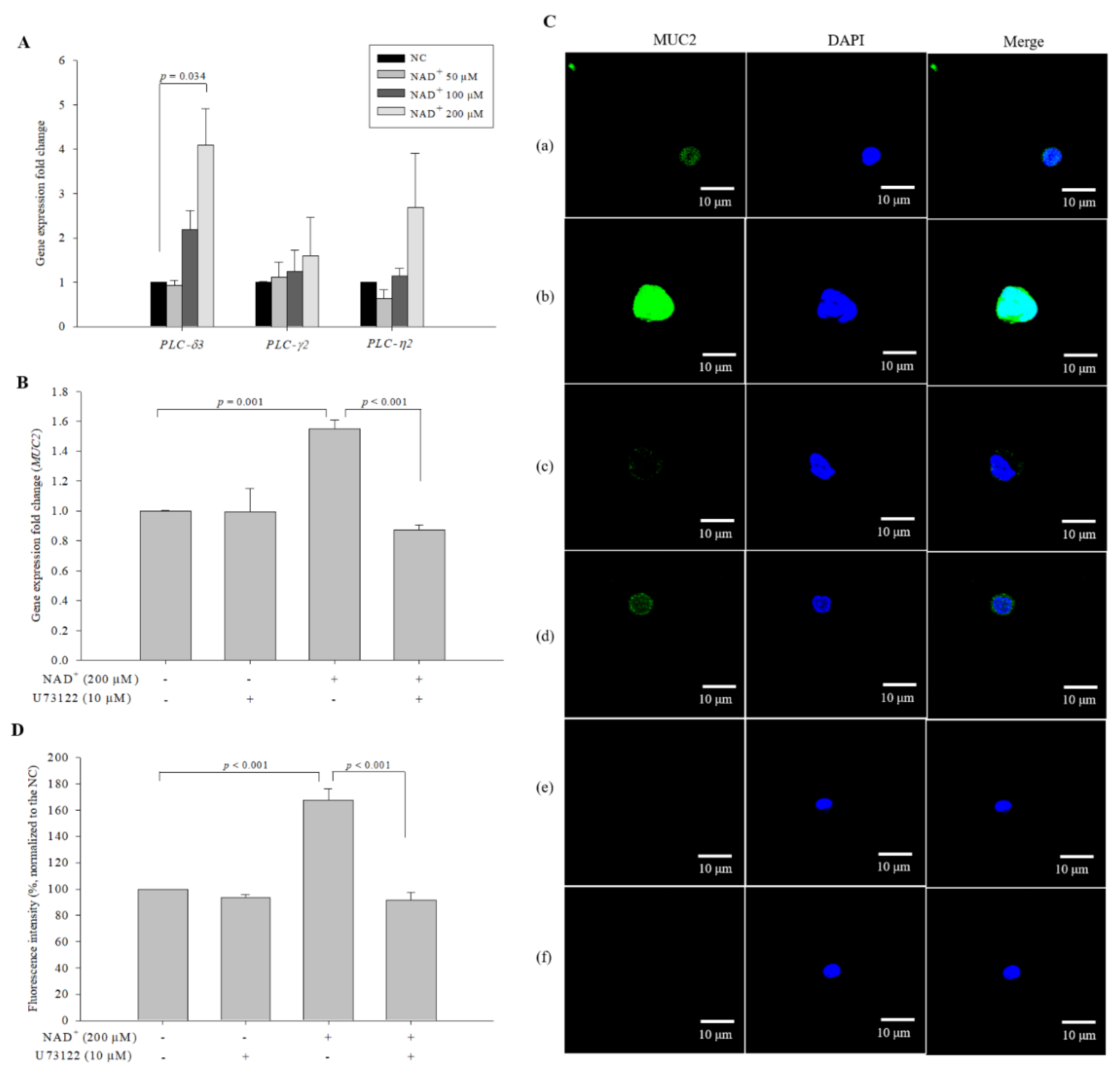 Biomolecules 10 00580 g005