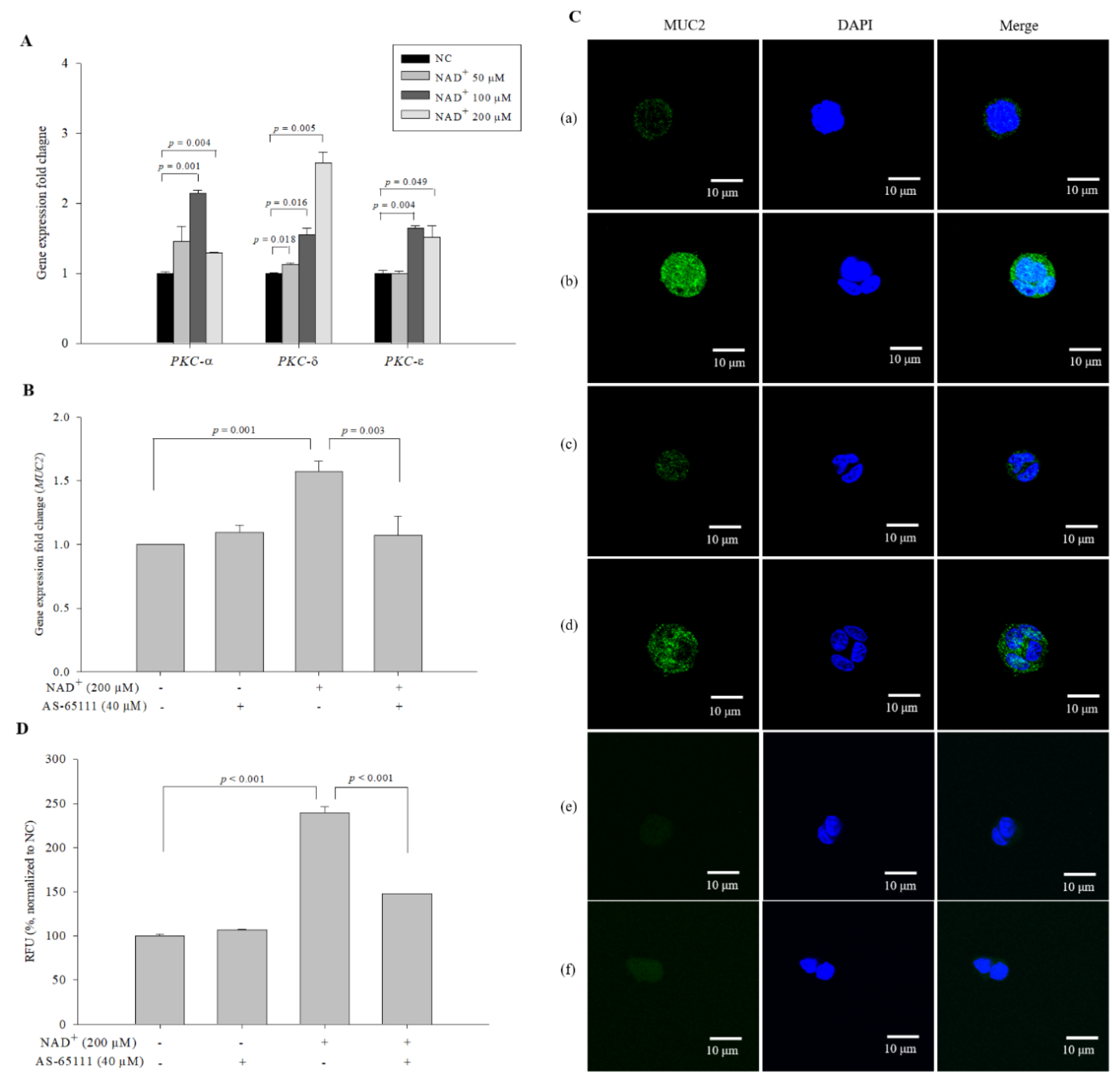 Biomolecules 10 00580 g007