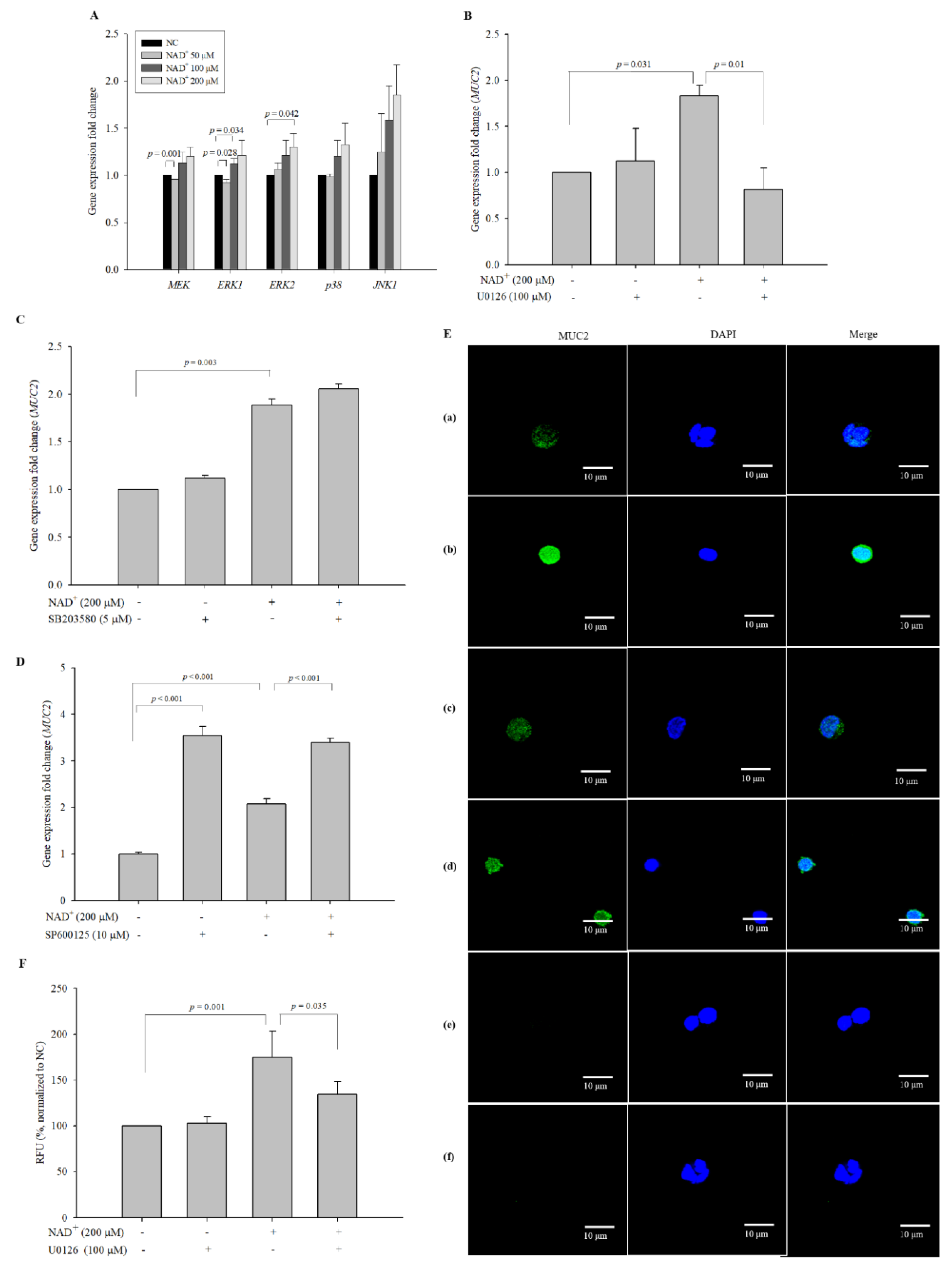 Biomolecules 10 00580 g008