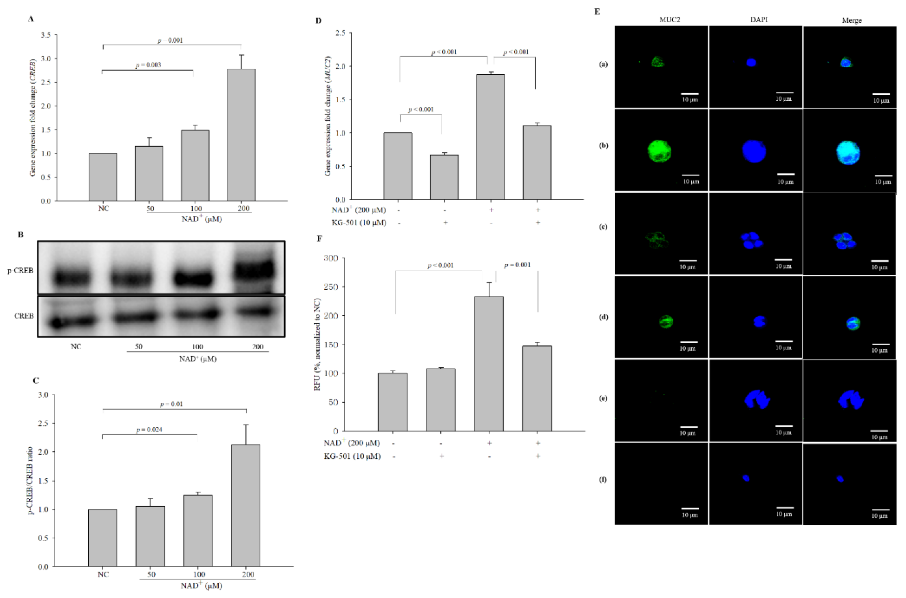 Biomolecules 10 00580 g009