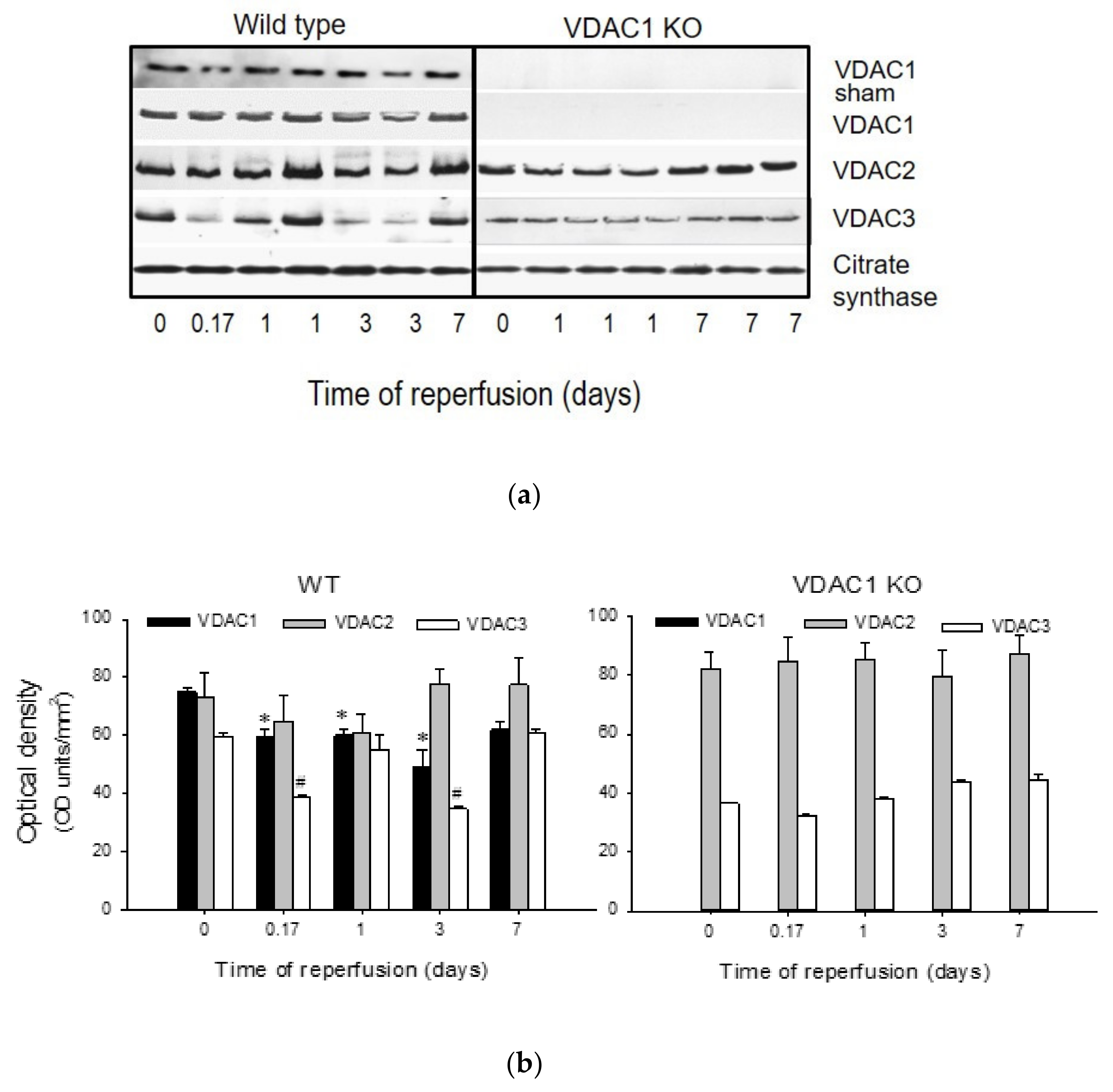 Biomolecules 10 00585 g001