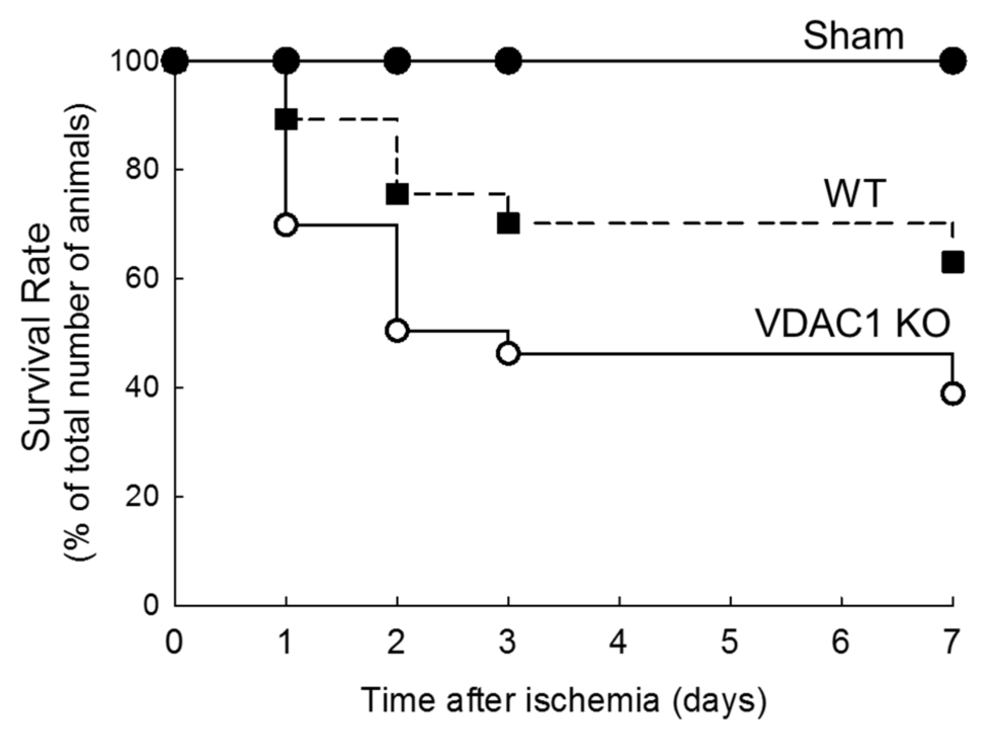 Biomolecules 10 00585 g005