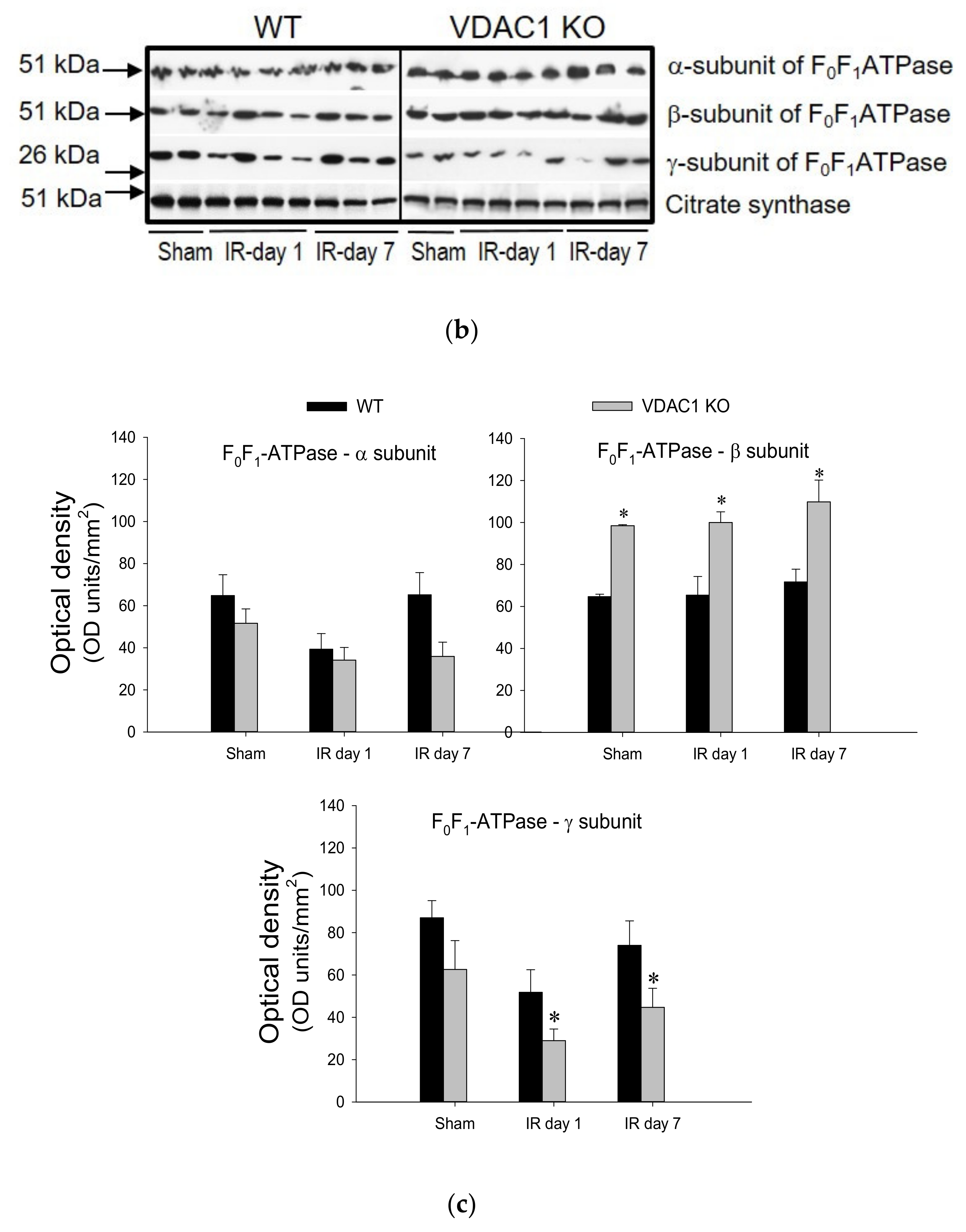 Biomolecules 10 00585 g008b