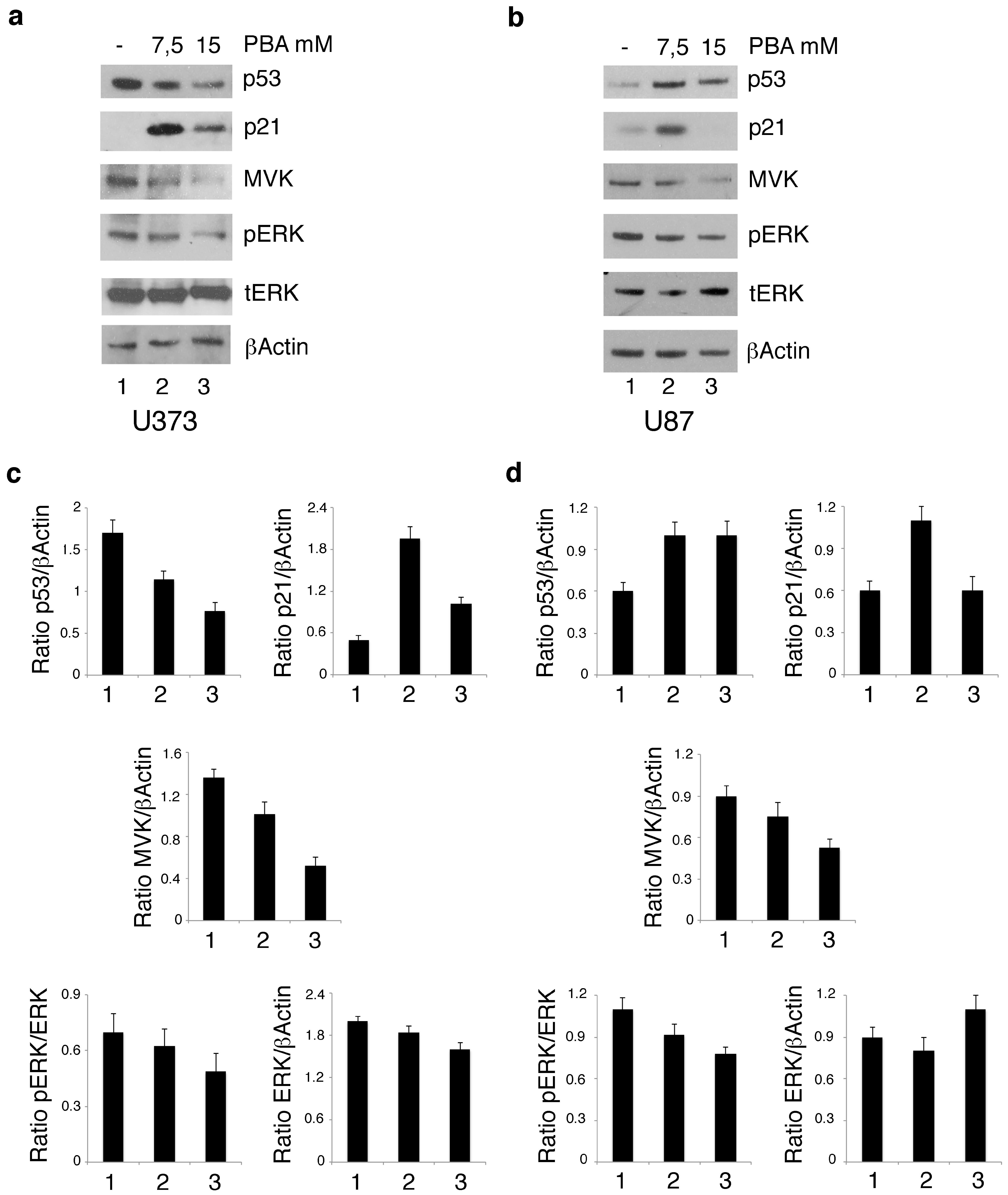 Biomolecules 10 00586 g002 Biomolecules 10 00586 g002