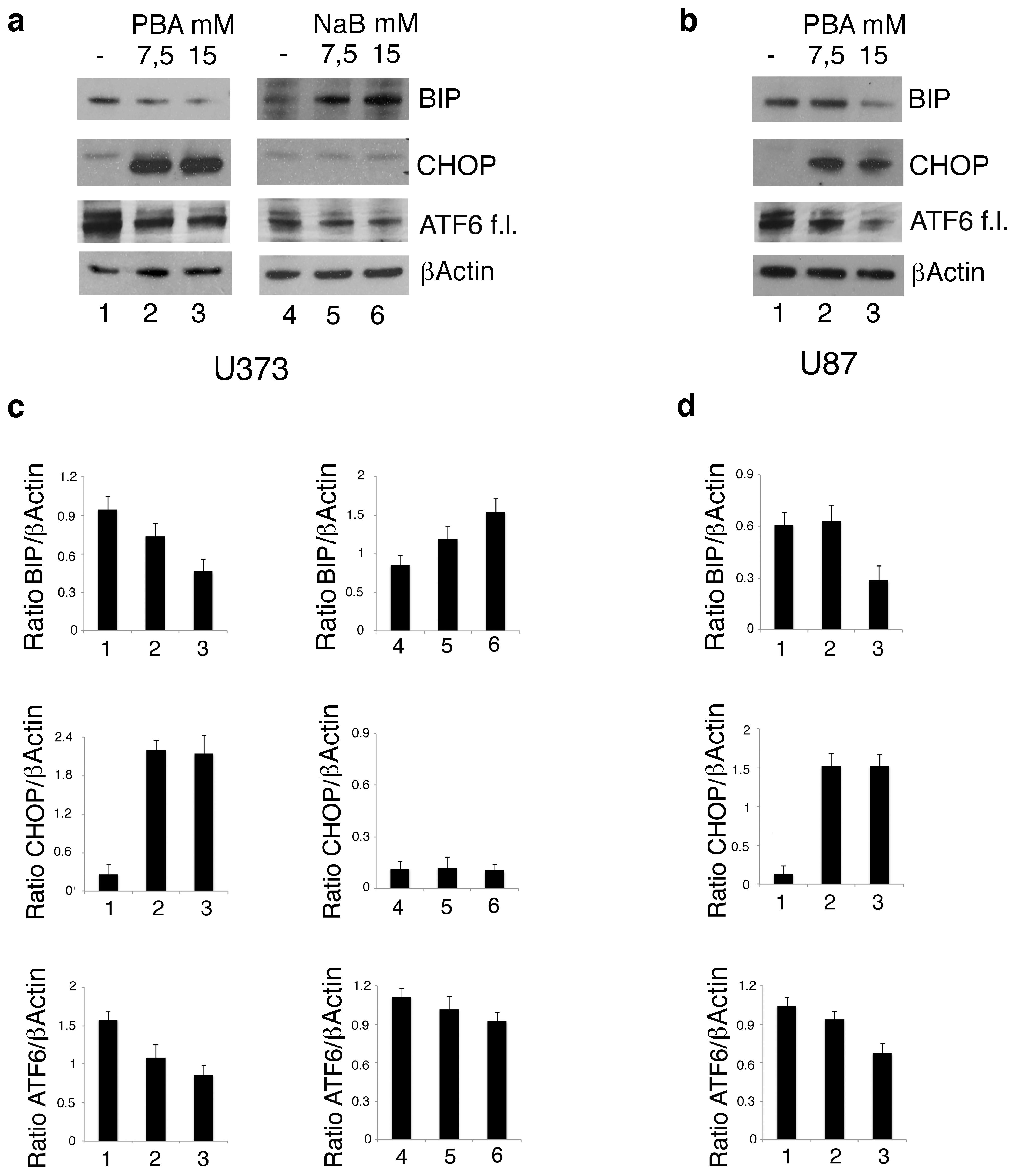 Biomolecules 10 00586 g004 Biomolecules 10 00586 g004