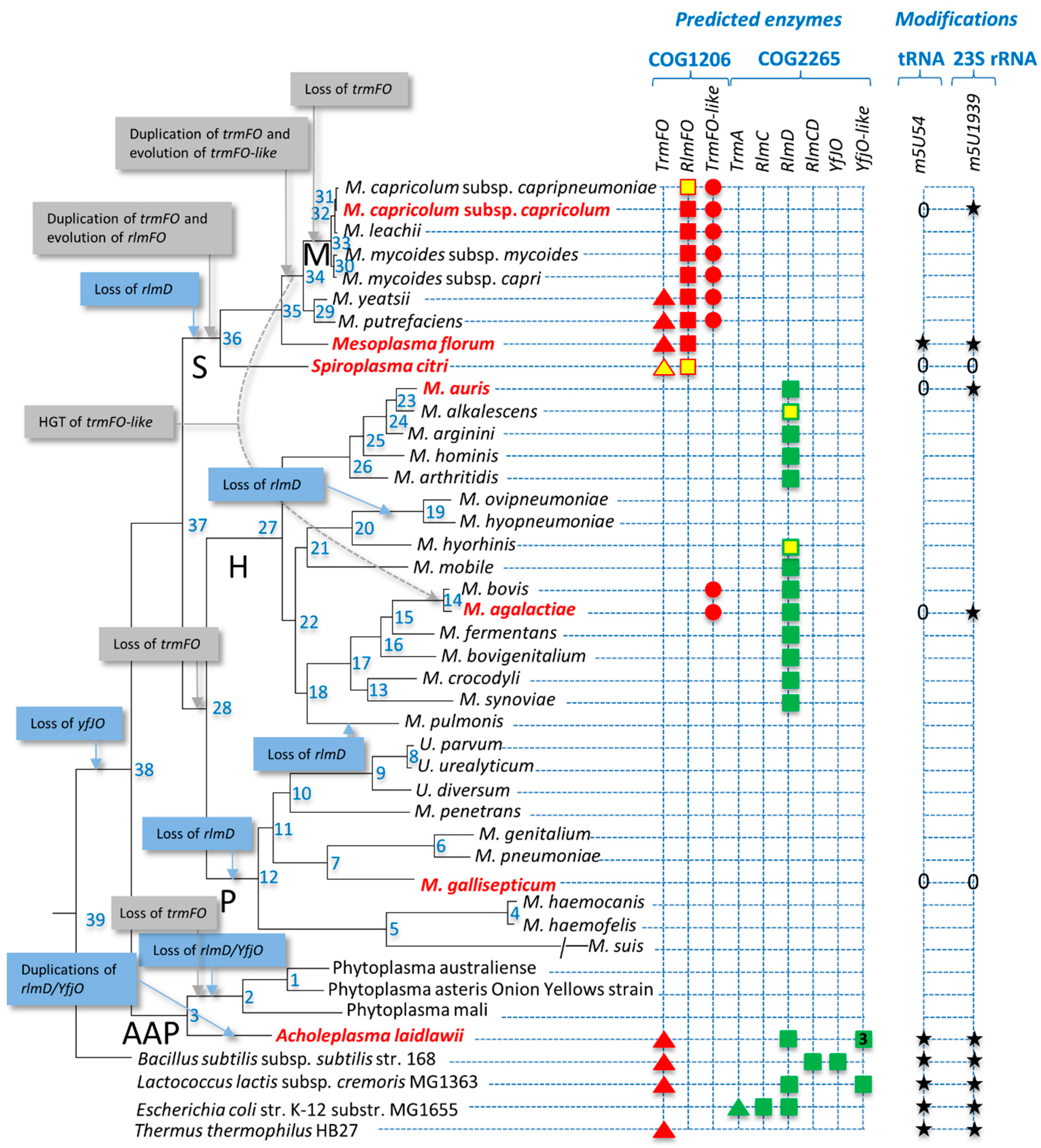 Biomolecules 10 00587 g002