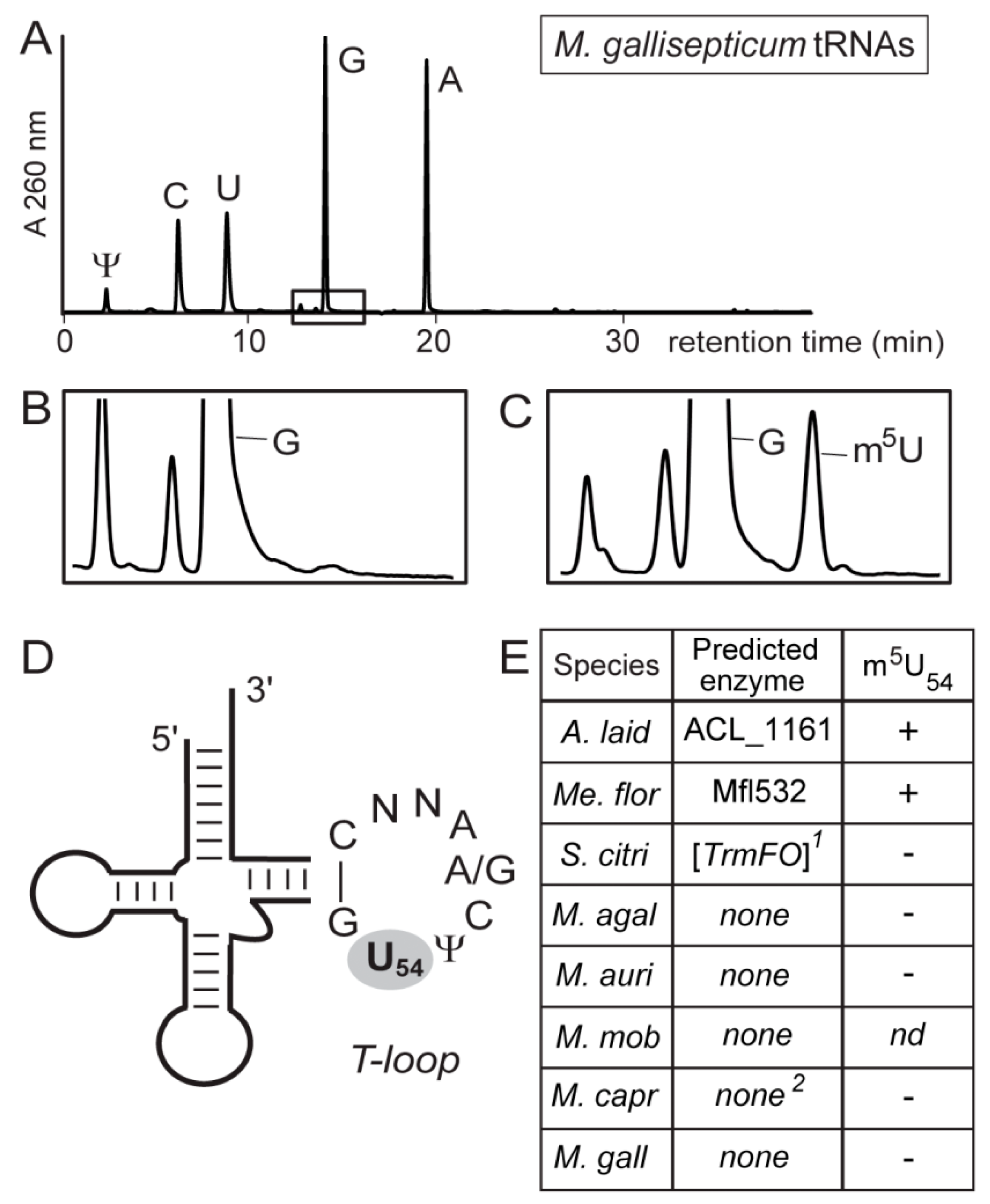 Biomolecules 10 00587 g003