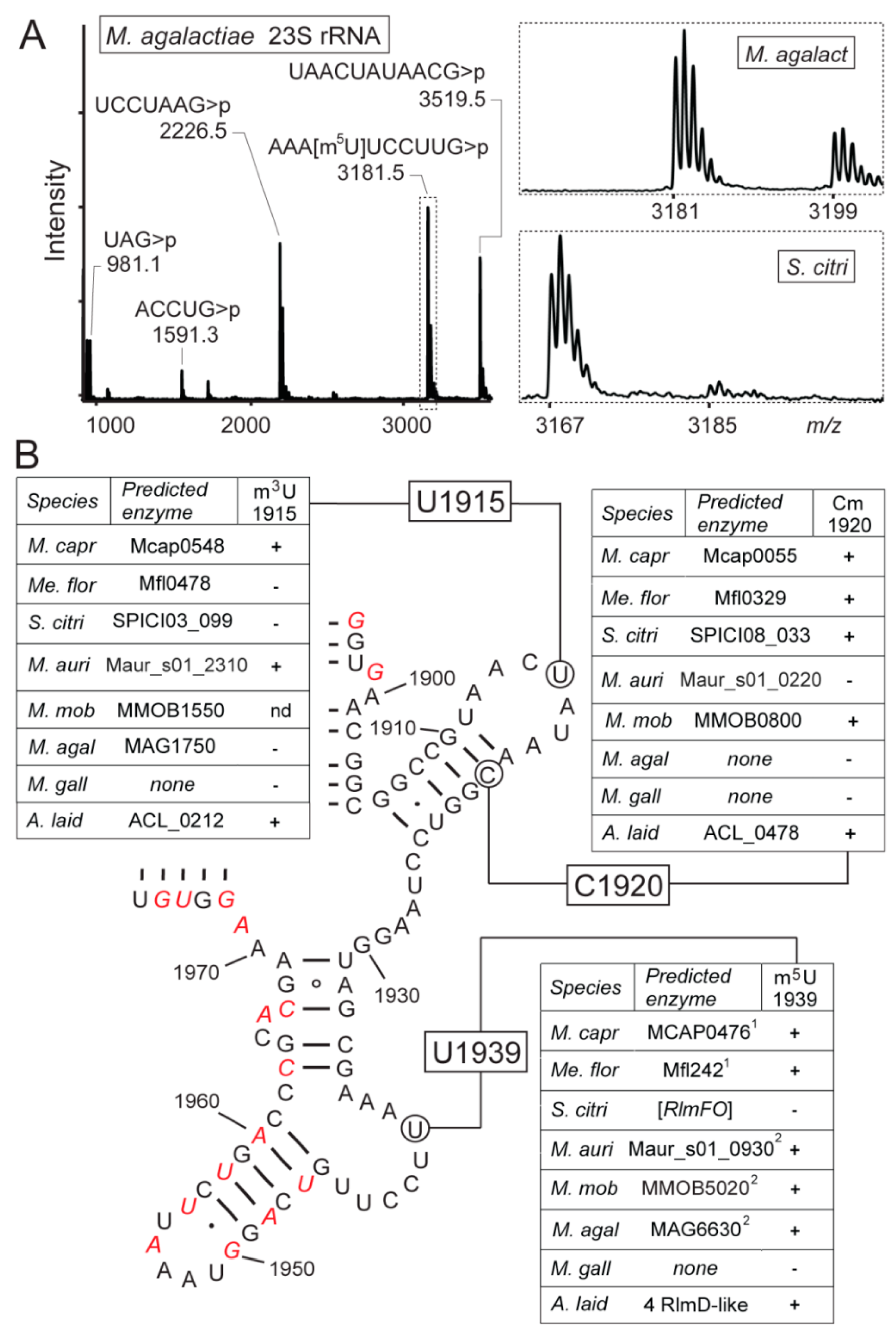 Biomolecules 10 00587 g004