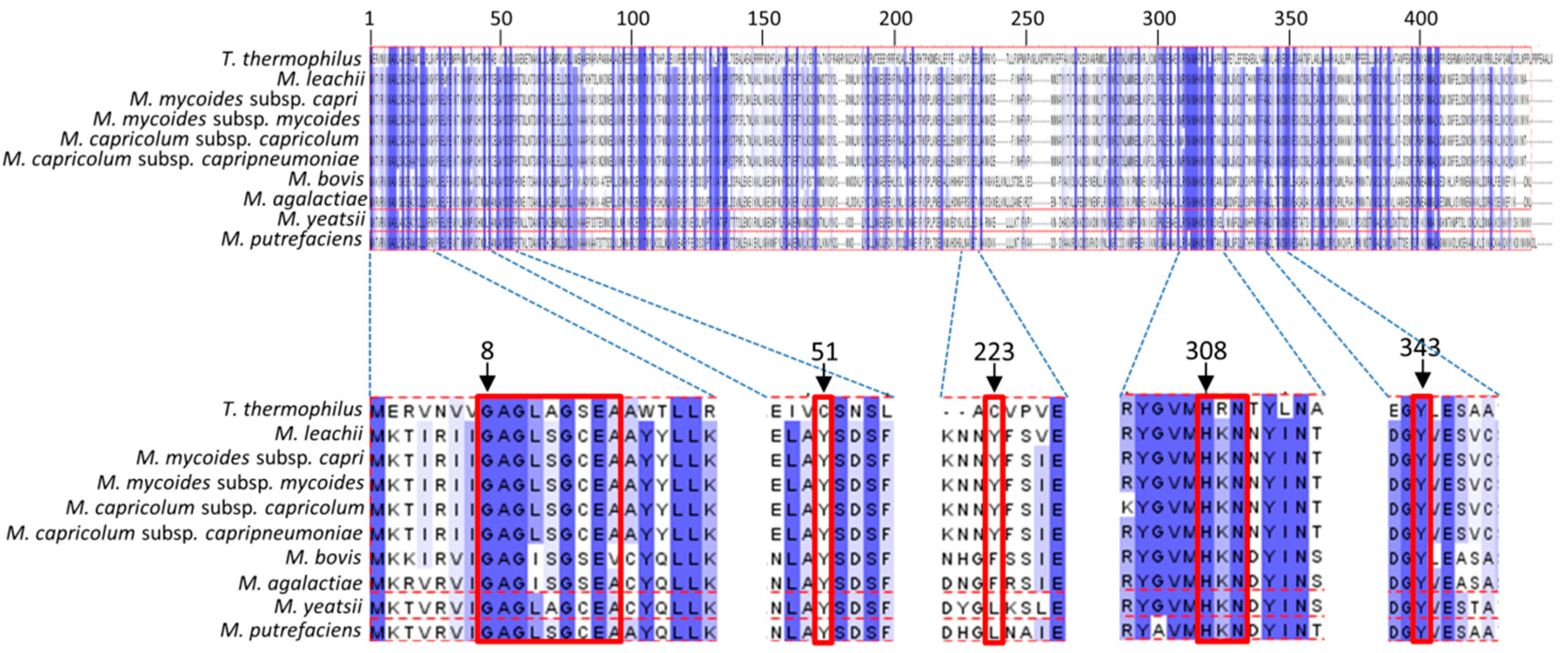 Biomolecules 10 00587 g005