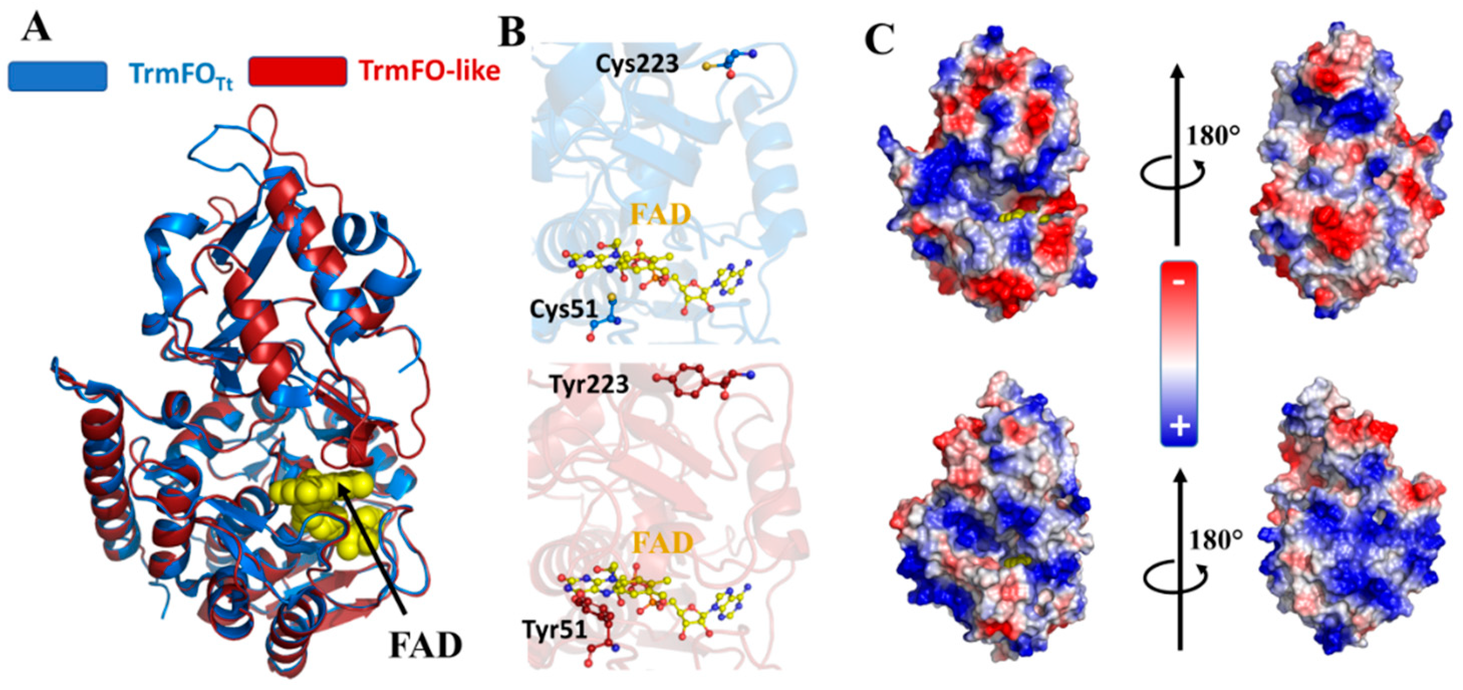 Biomolecules 10 00587 g006