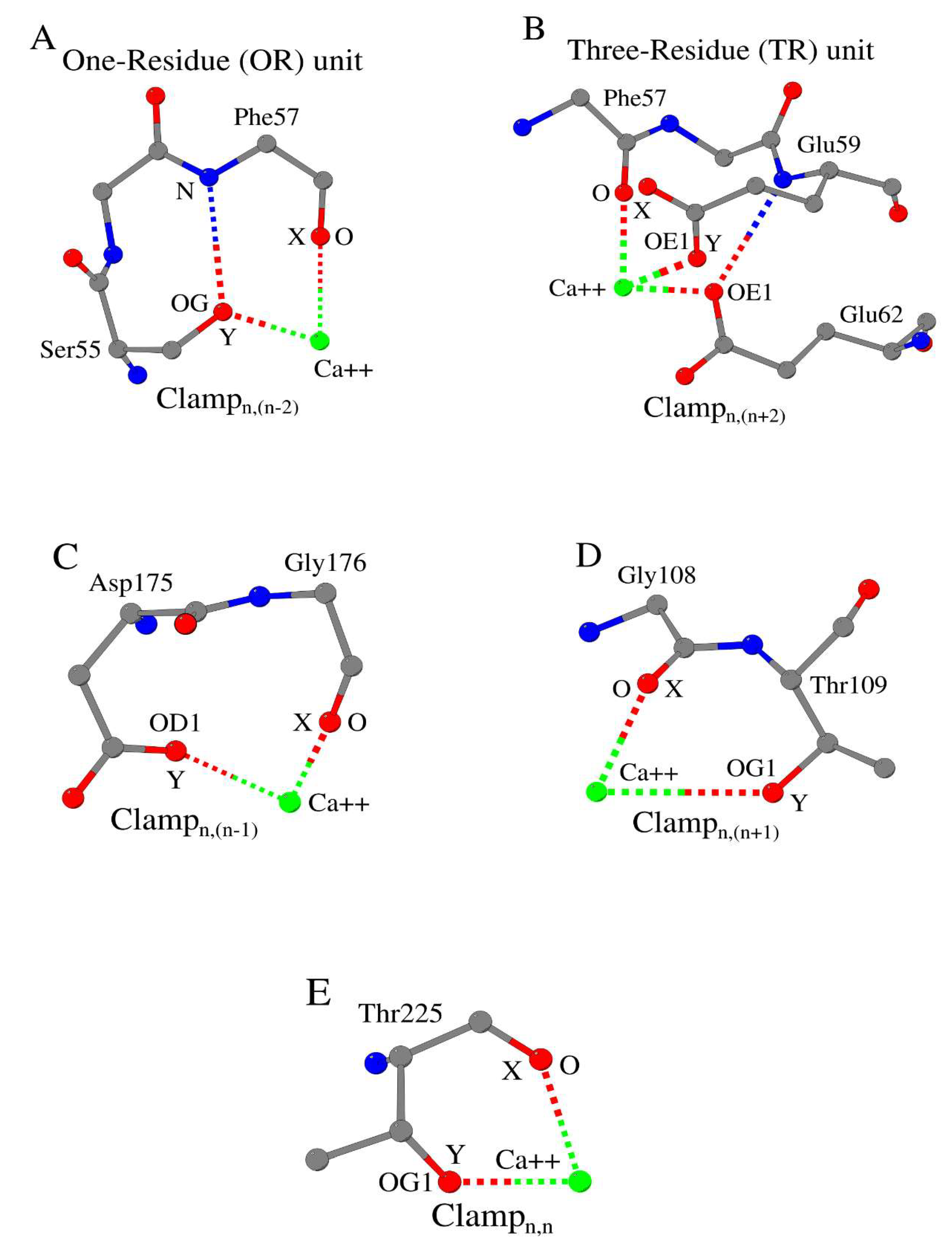 Biomolecules 10 00588 g002 Biomolecules 10 00588 g002