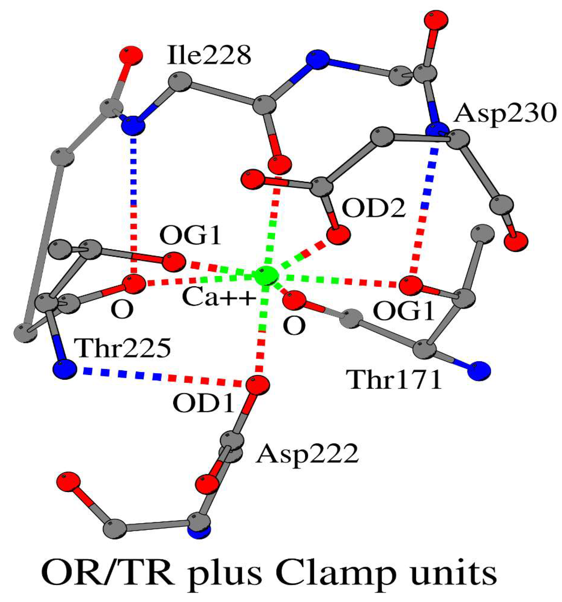 Biomolecules 10 00588 g003 Biomolecules 10 00588 g003