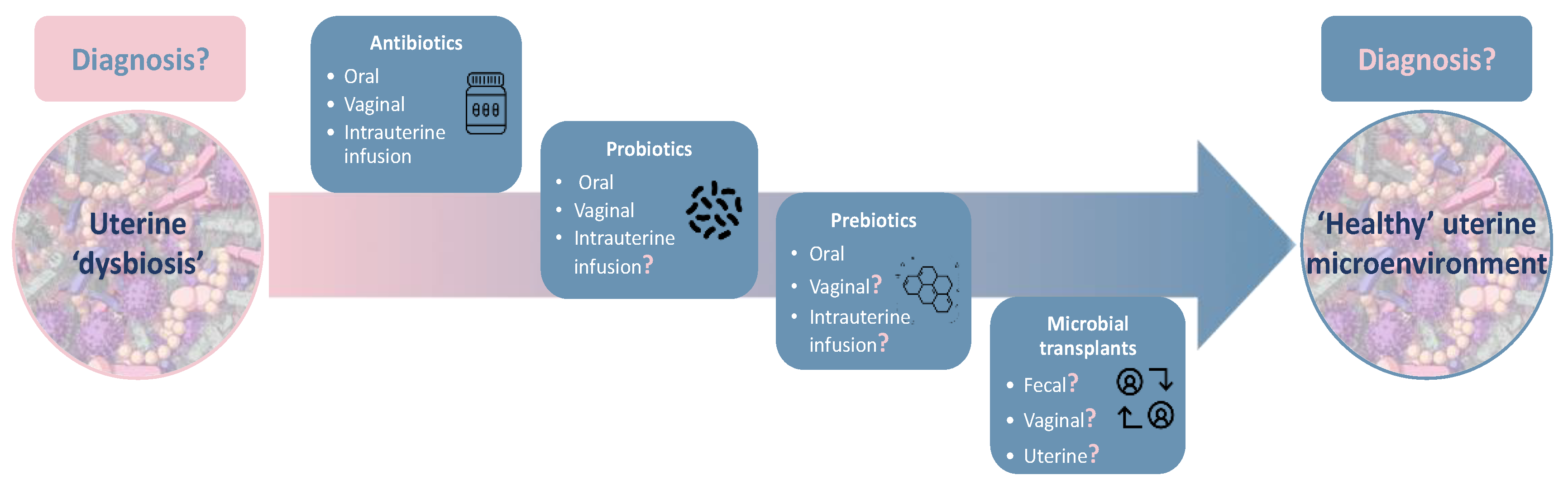 Biomolecules 10 00593 g003 Biomolecules 10 00593 g003