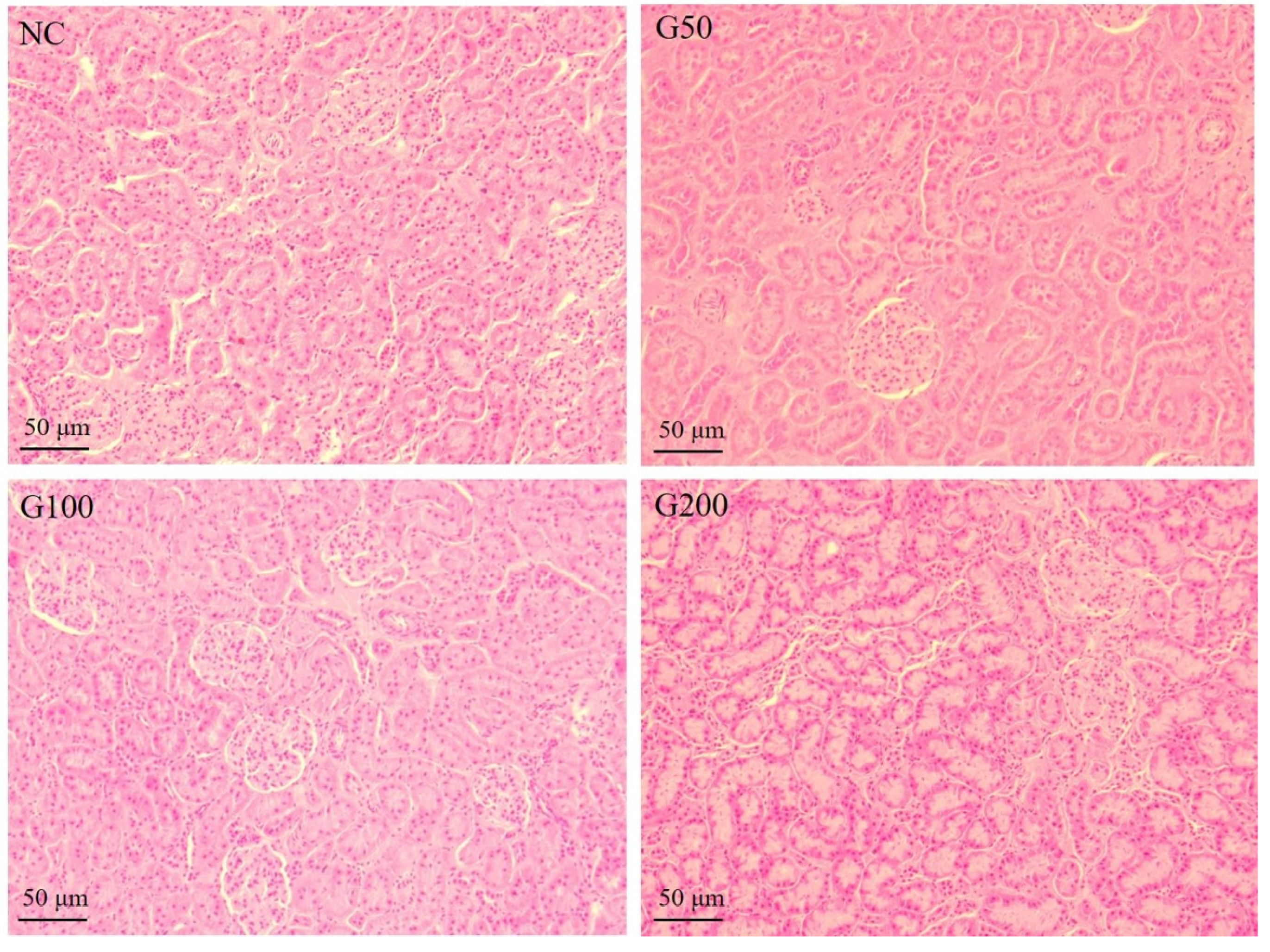 Biomolecules 10 00595 g002