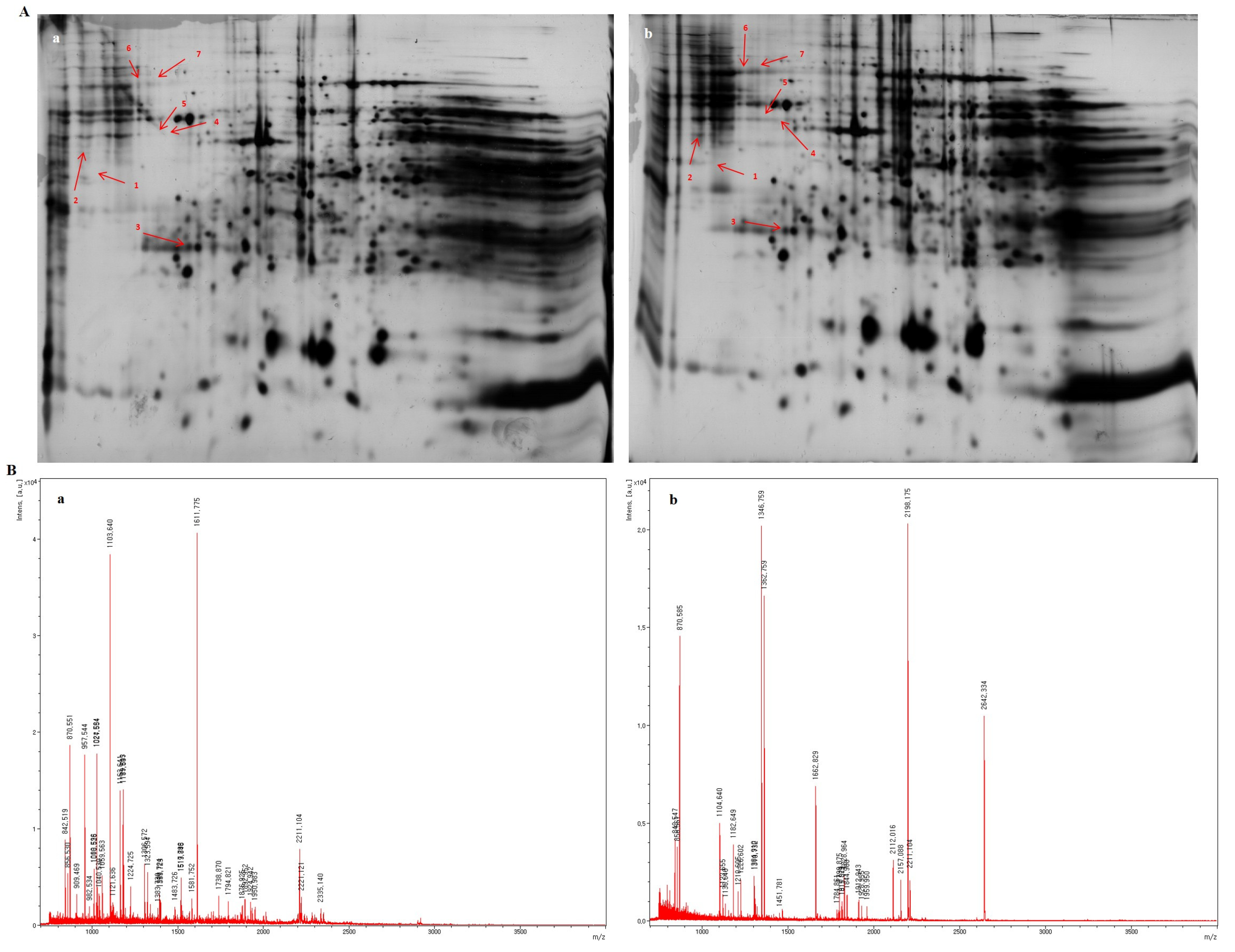 Biomolecules 10 00595 g004