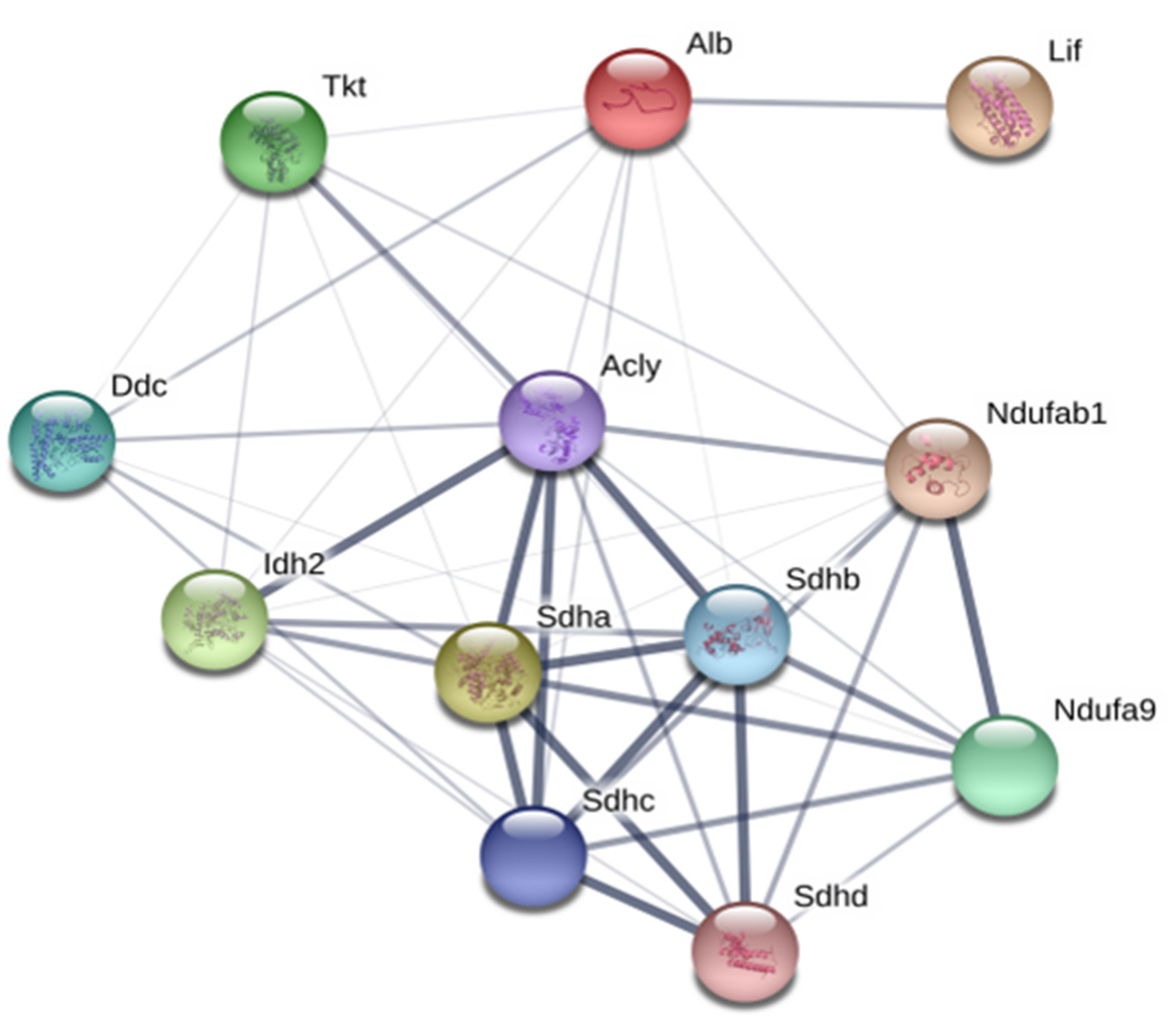 Biomolecules 10 00595 g007
