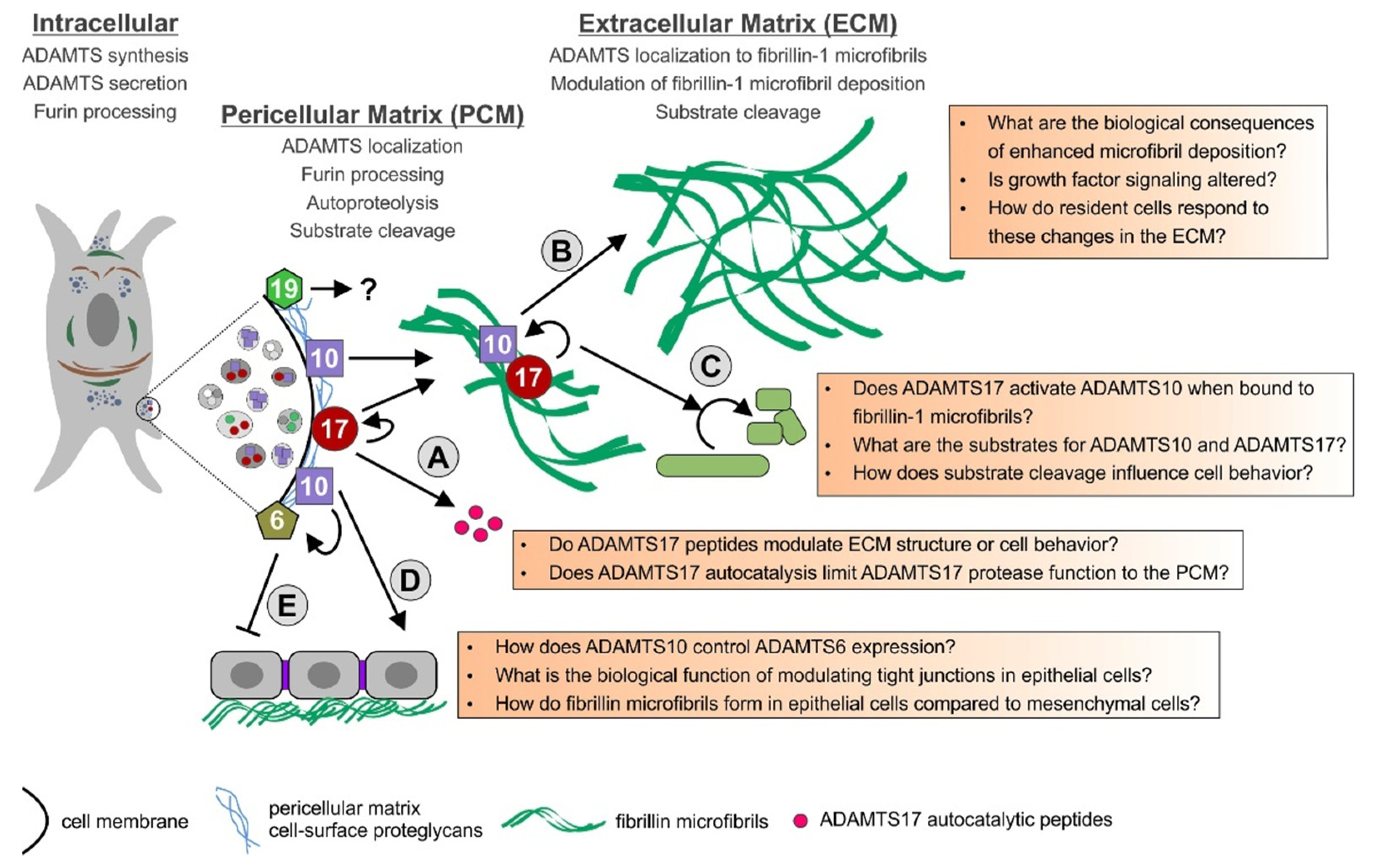 Biomolecules 10 00596 g002 Biomolecules 10 00596 g002