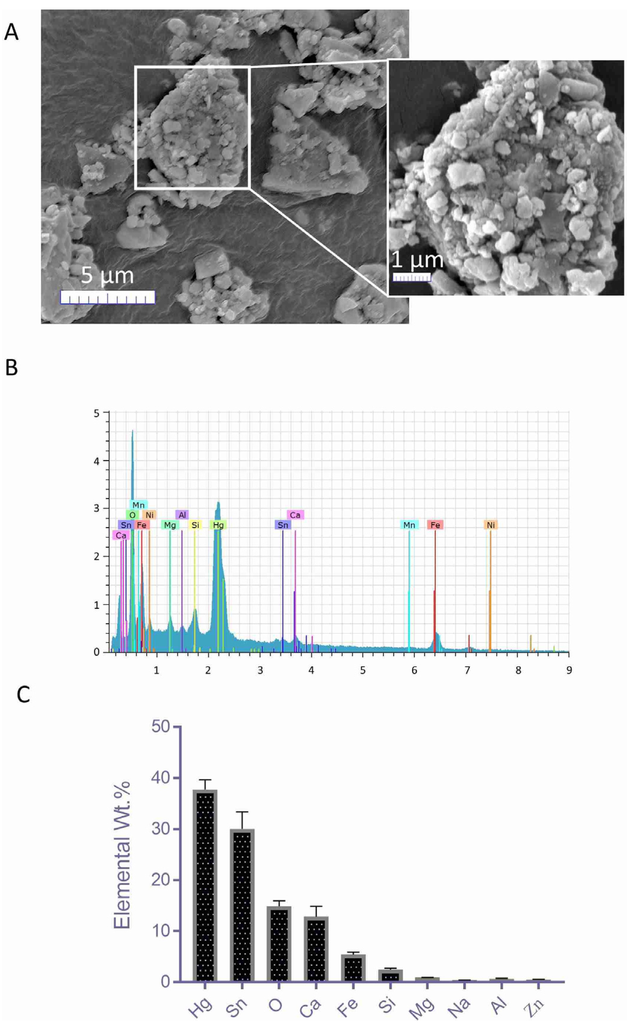 Biomolecules 10 00600 g002