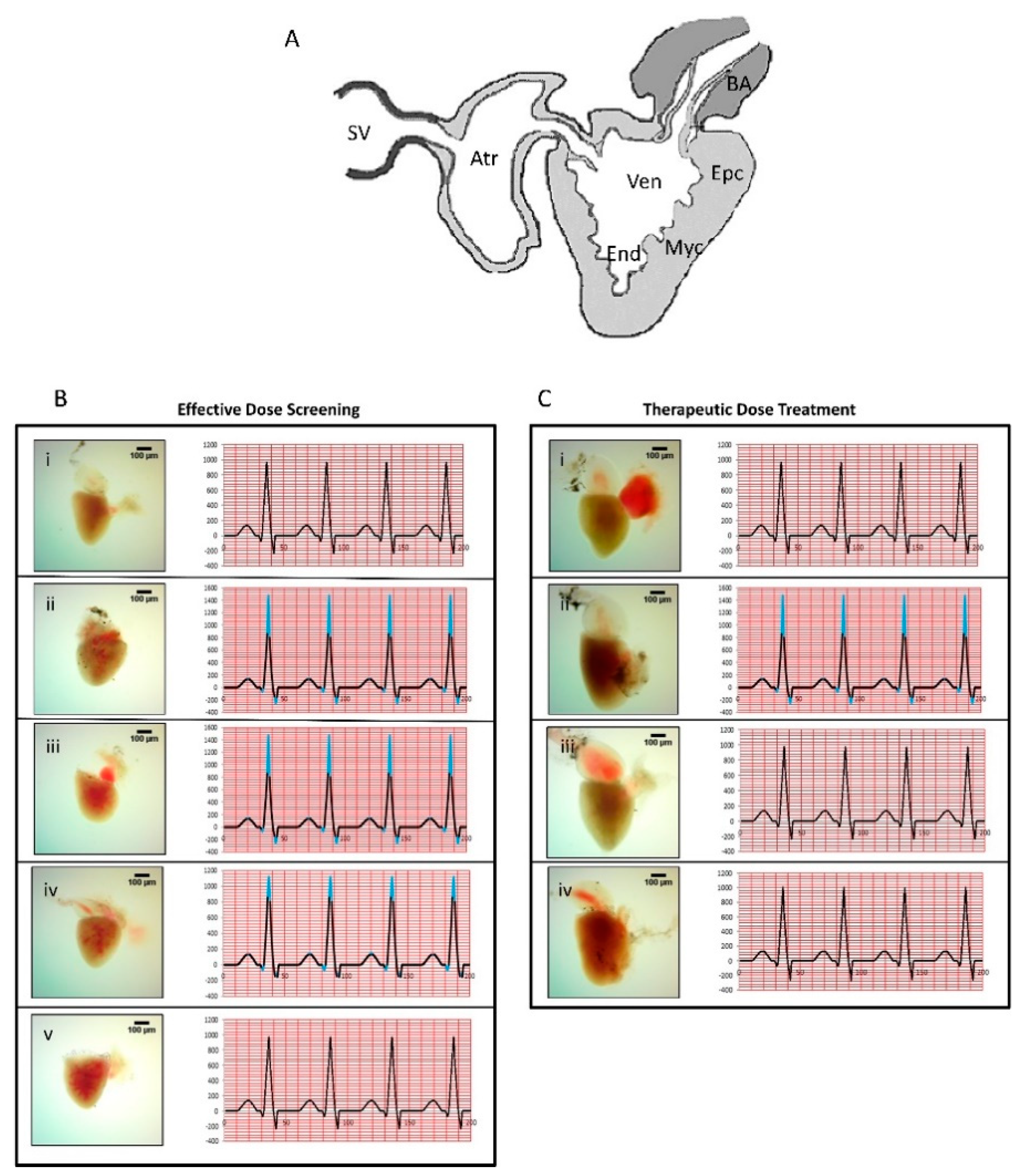 Biomolecules 10 00600 g004