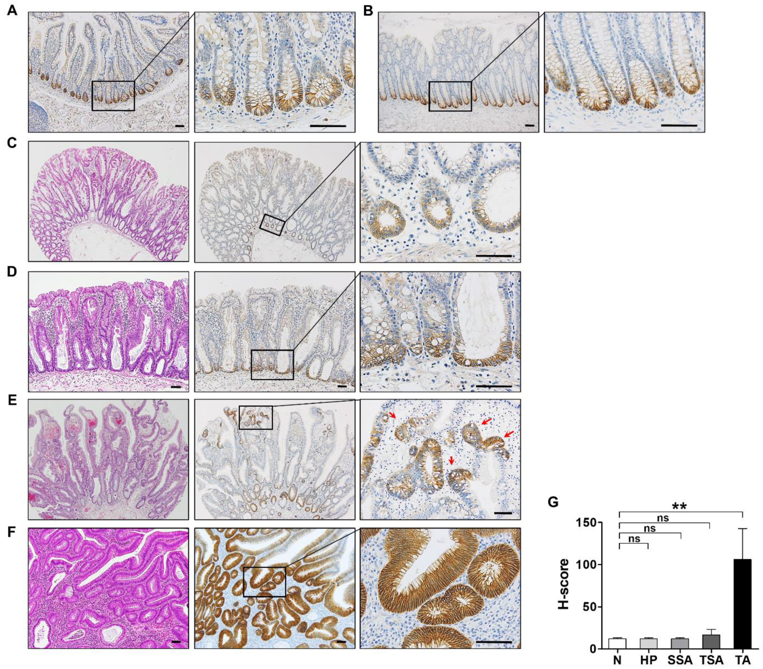Biomolecules 10 00602 g002 Biomolecules 10 00602 g002