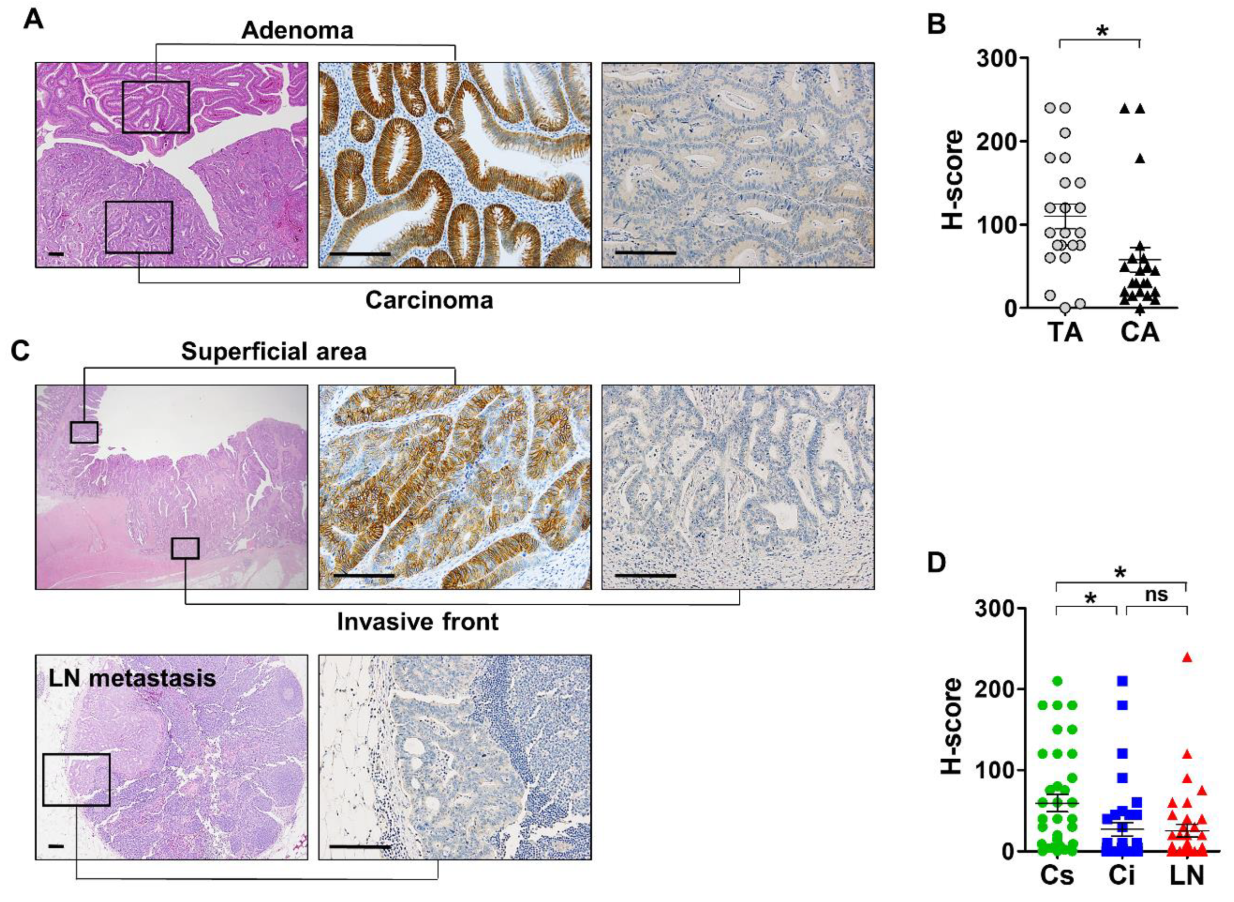 Biomolecules 10 00602 g003 Biomolecules 10 00602 g003