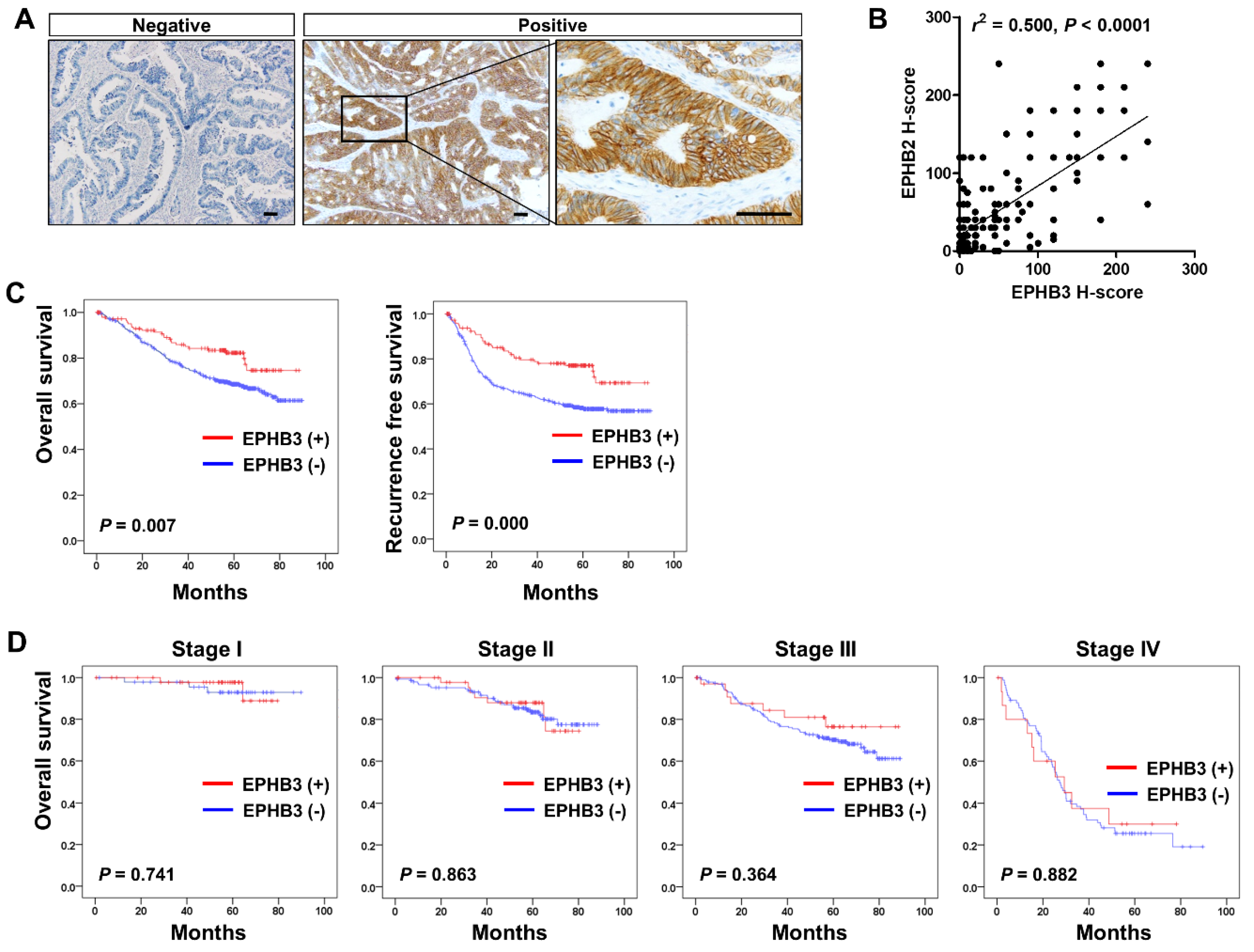 Biomolecules 10 00602 g006 Biomolecules 10 00602 g006
