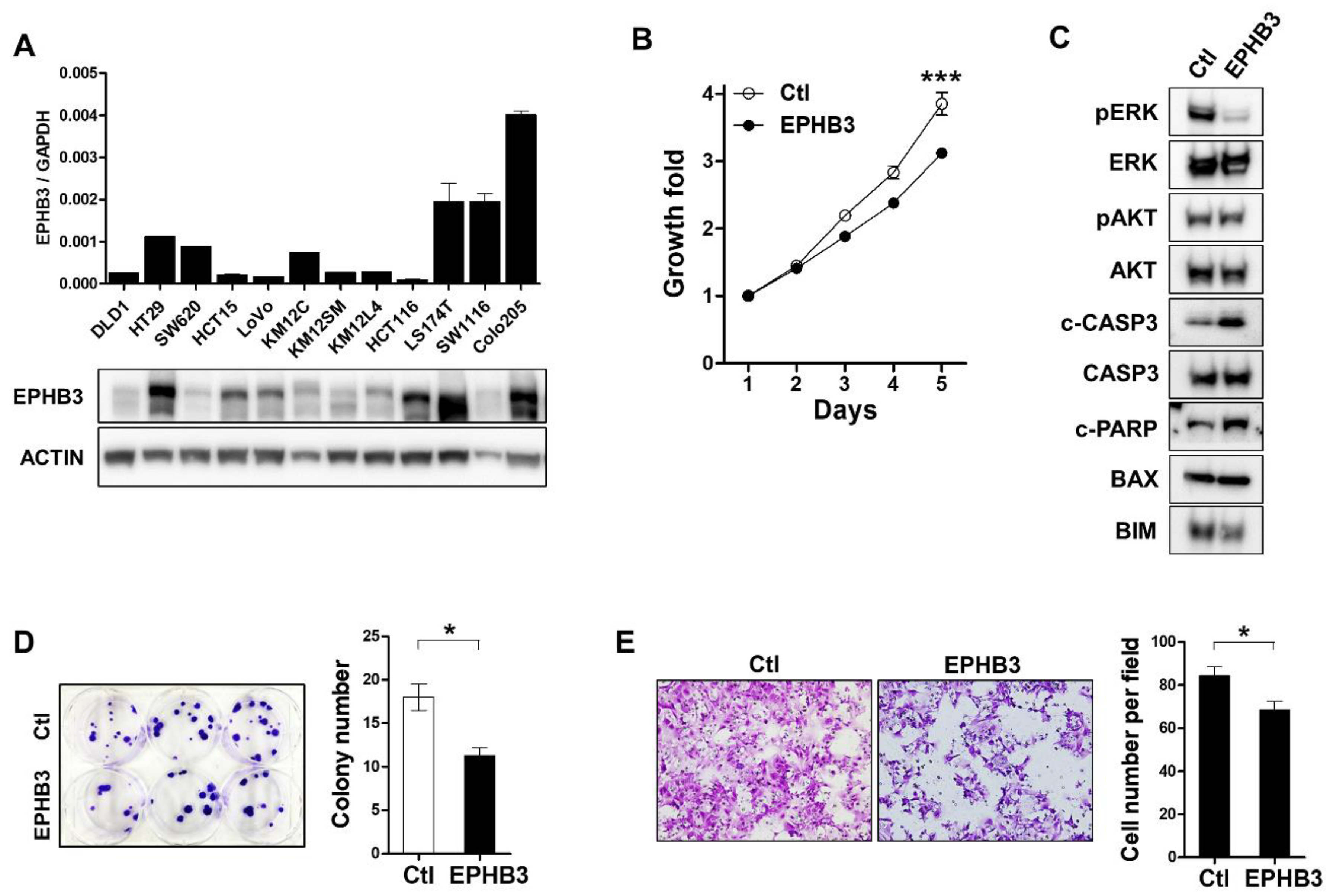 Biomolecules 10 00602 g007 Biomolecules 10 00602 g007