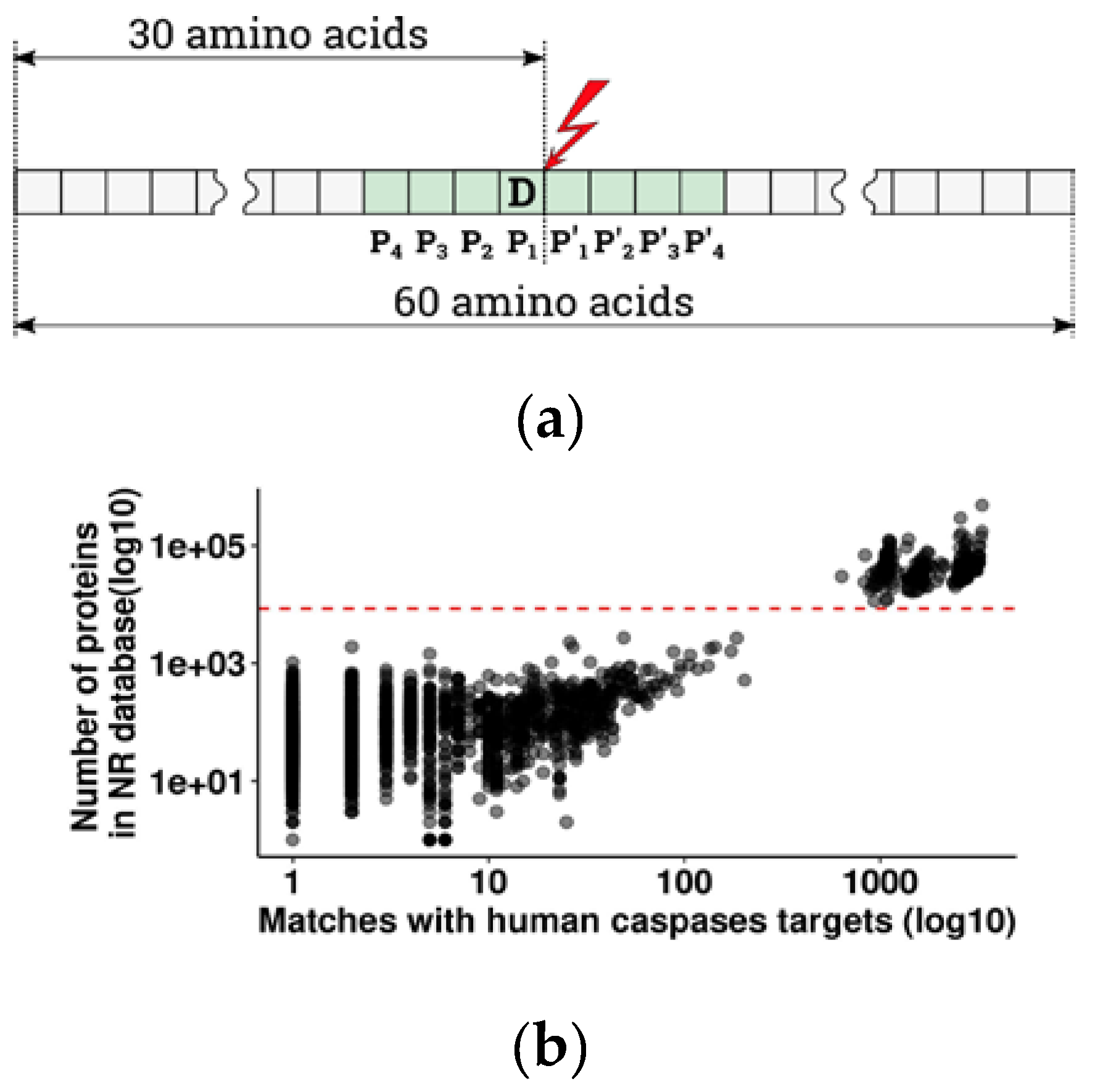 Biomolecules 10 00612 g001