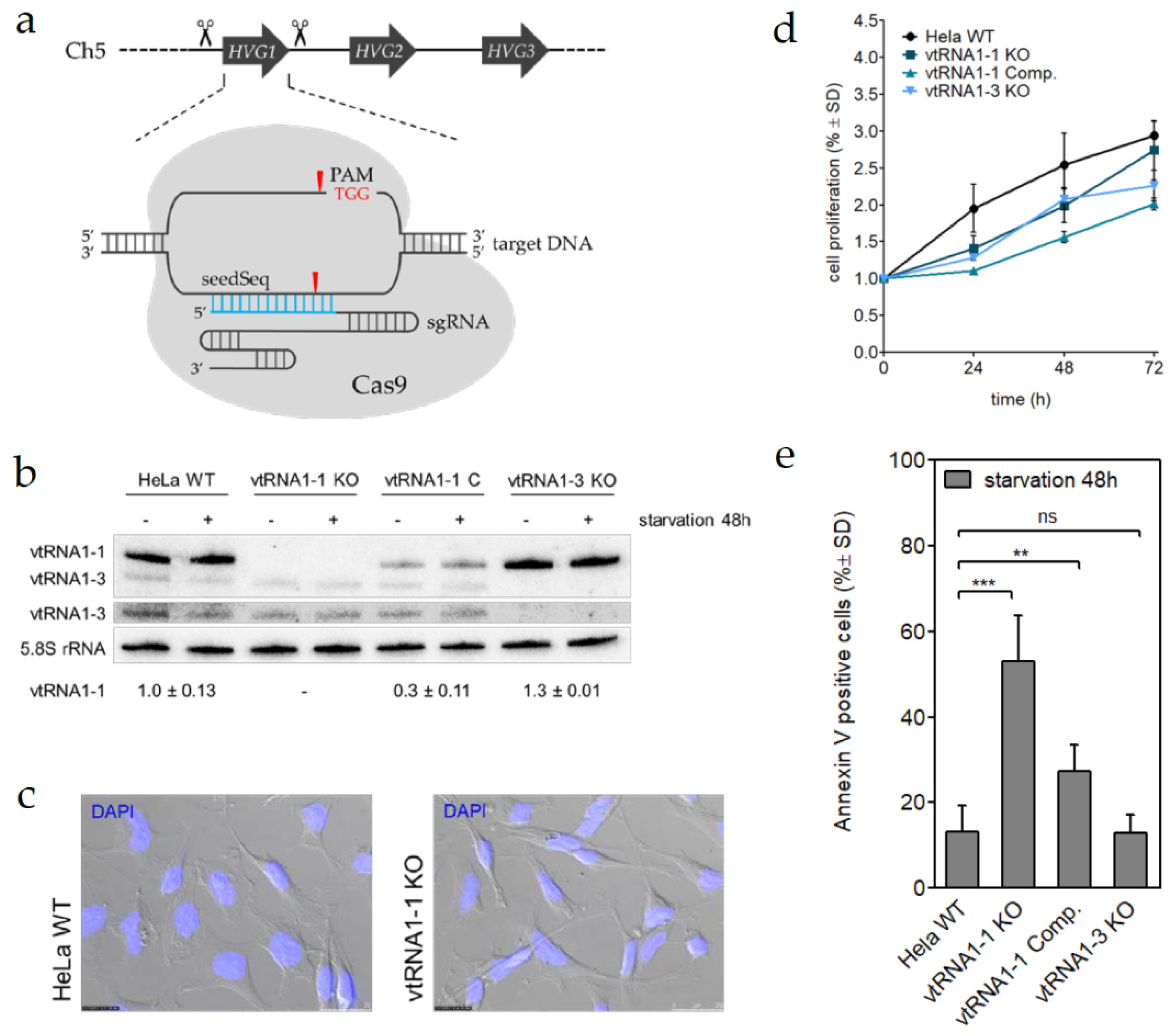 Biomolecules 10 00614 g001 Biomolecules 10 00614 g001