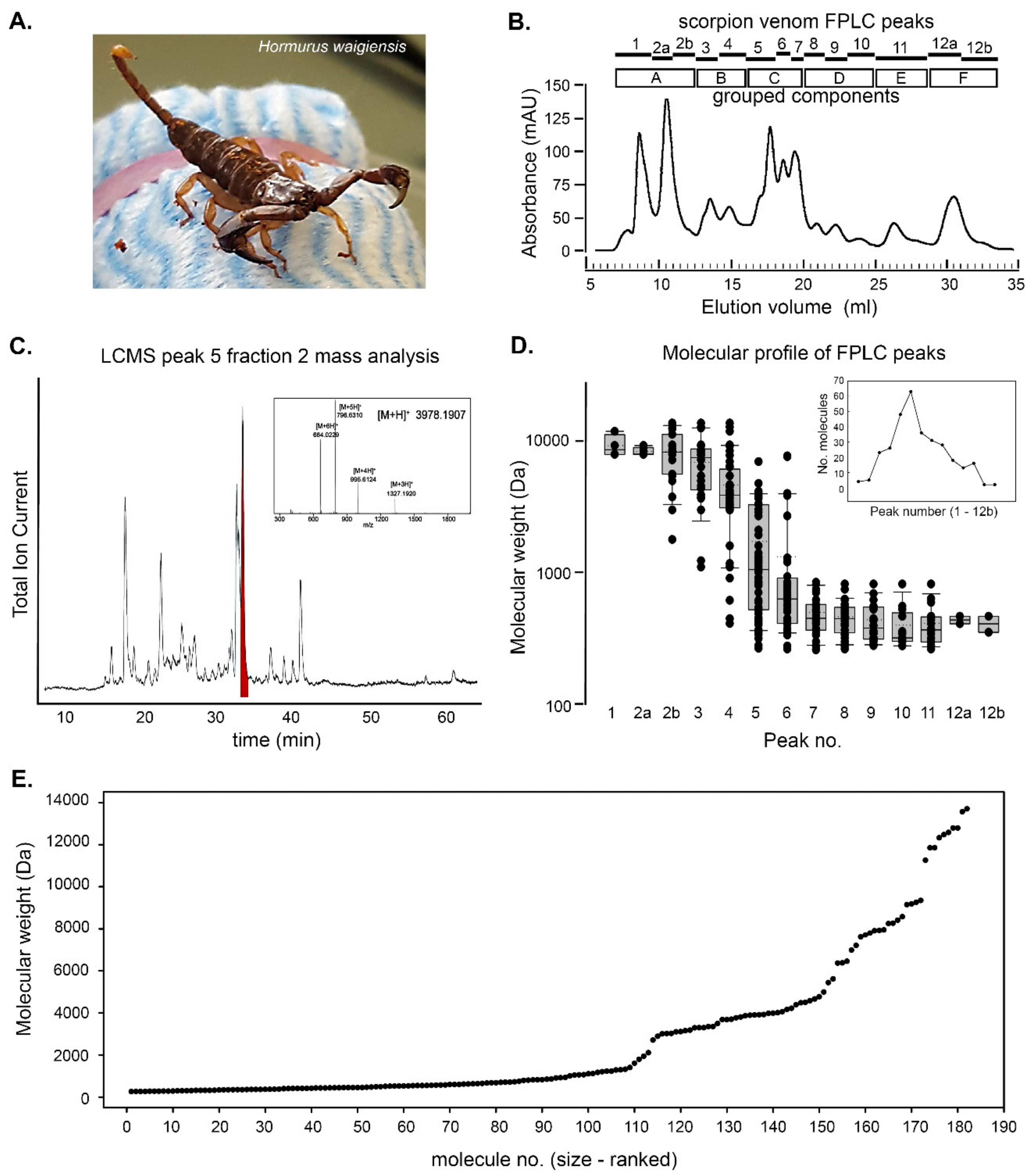 Biomolecules 10 00617 g001