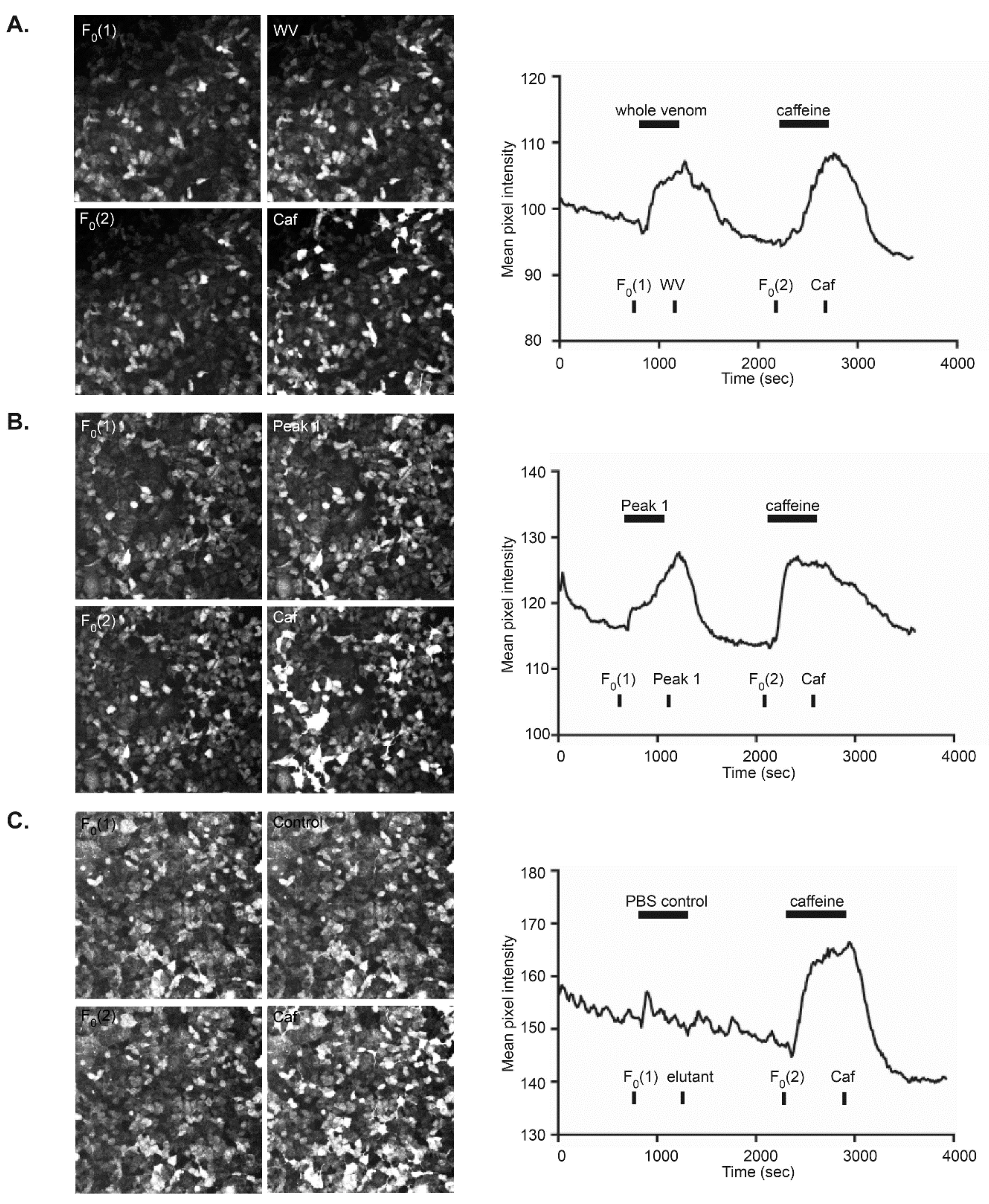 Biomolecules 10 00617 g005