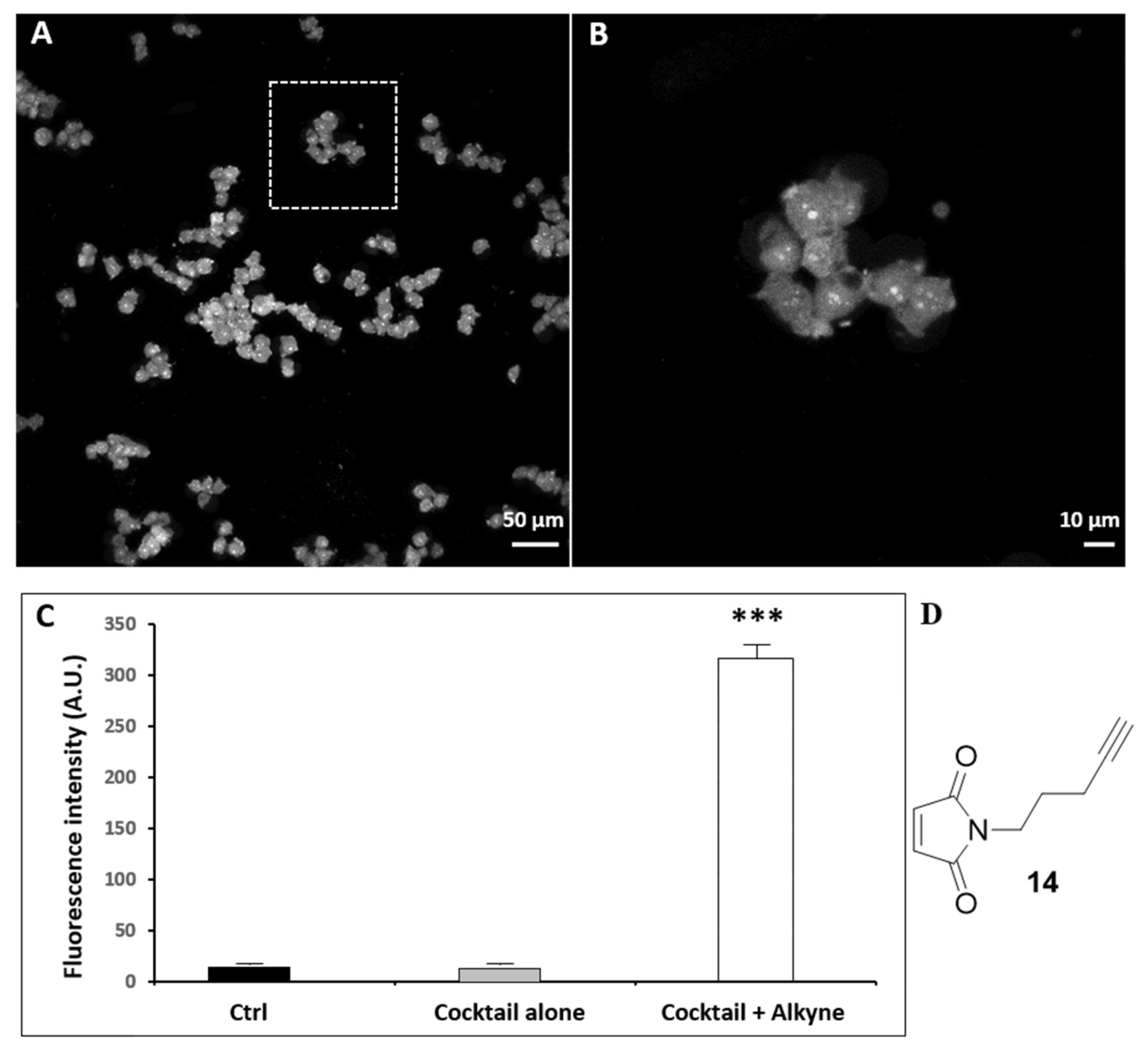 Biomolecules 10 00619 g005 Biomolecules 10 00619 g005