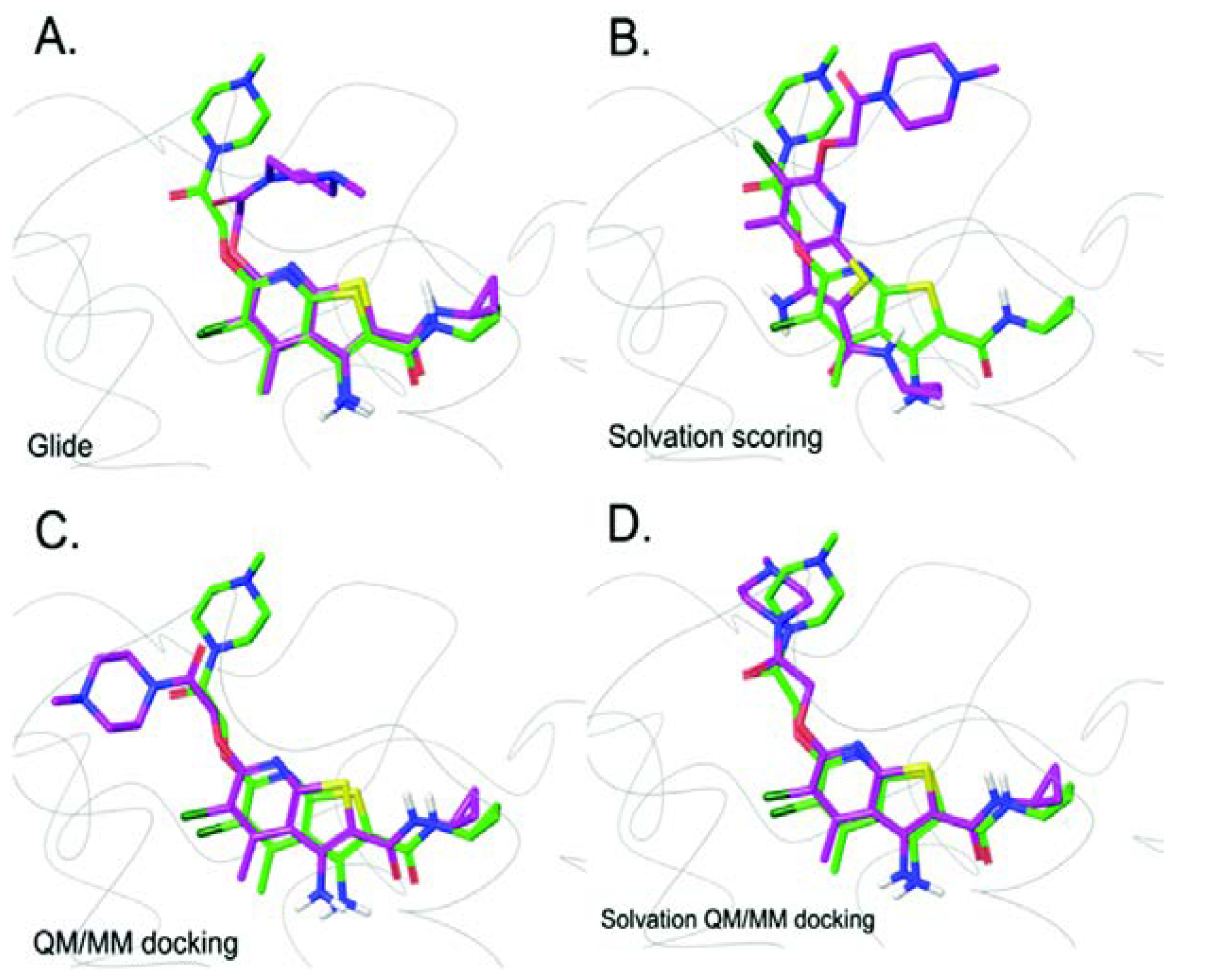 Biomolecules 10 00631 g003