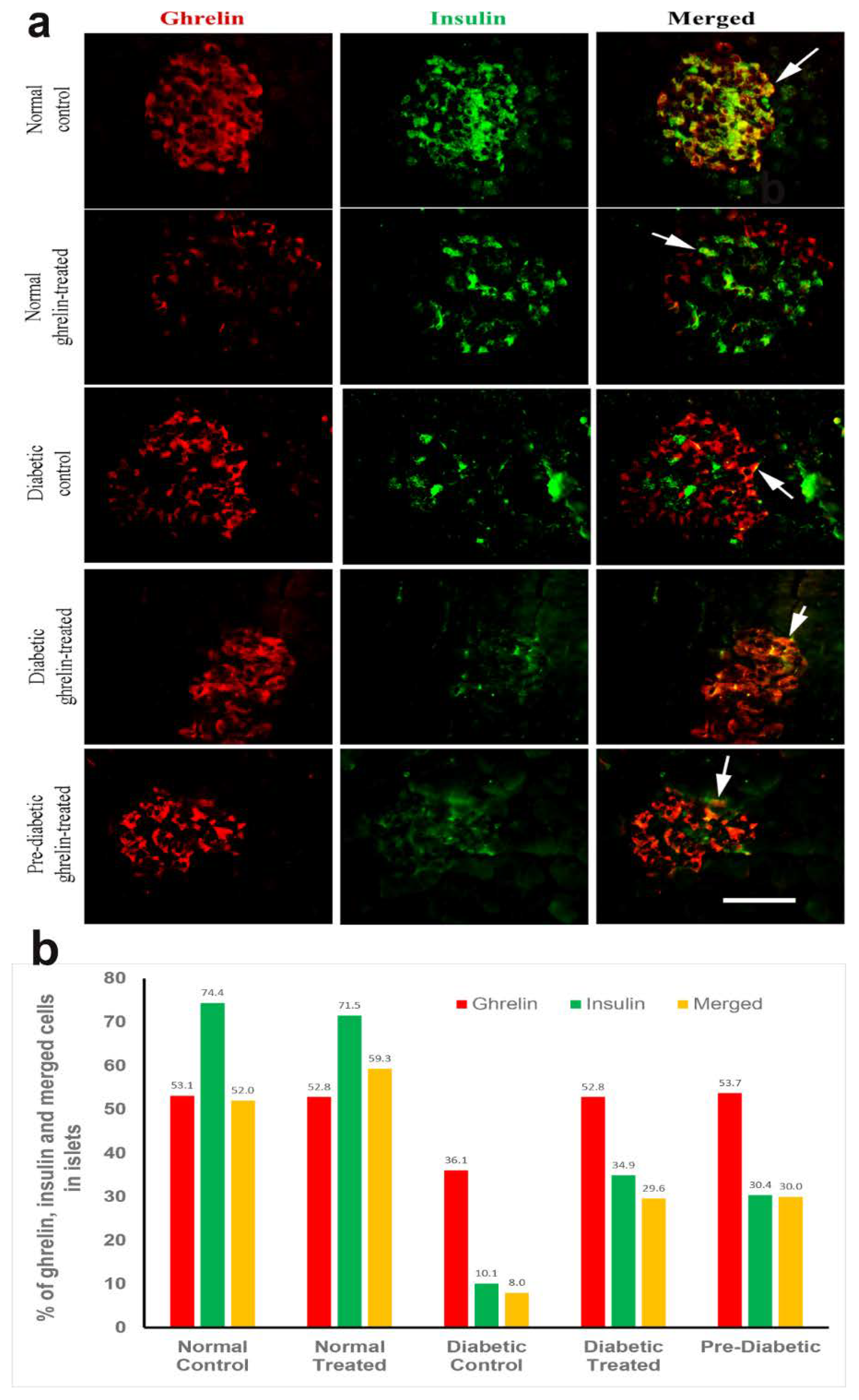 Biomolecules 10 00633 g004 Biomolecules 10 00633 g004