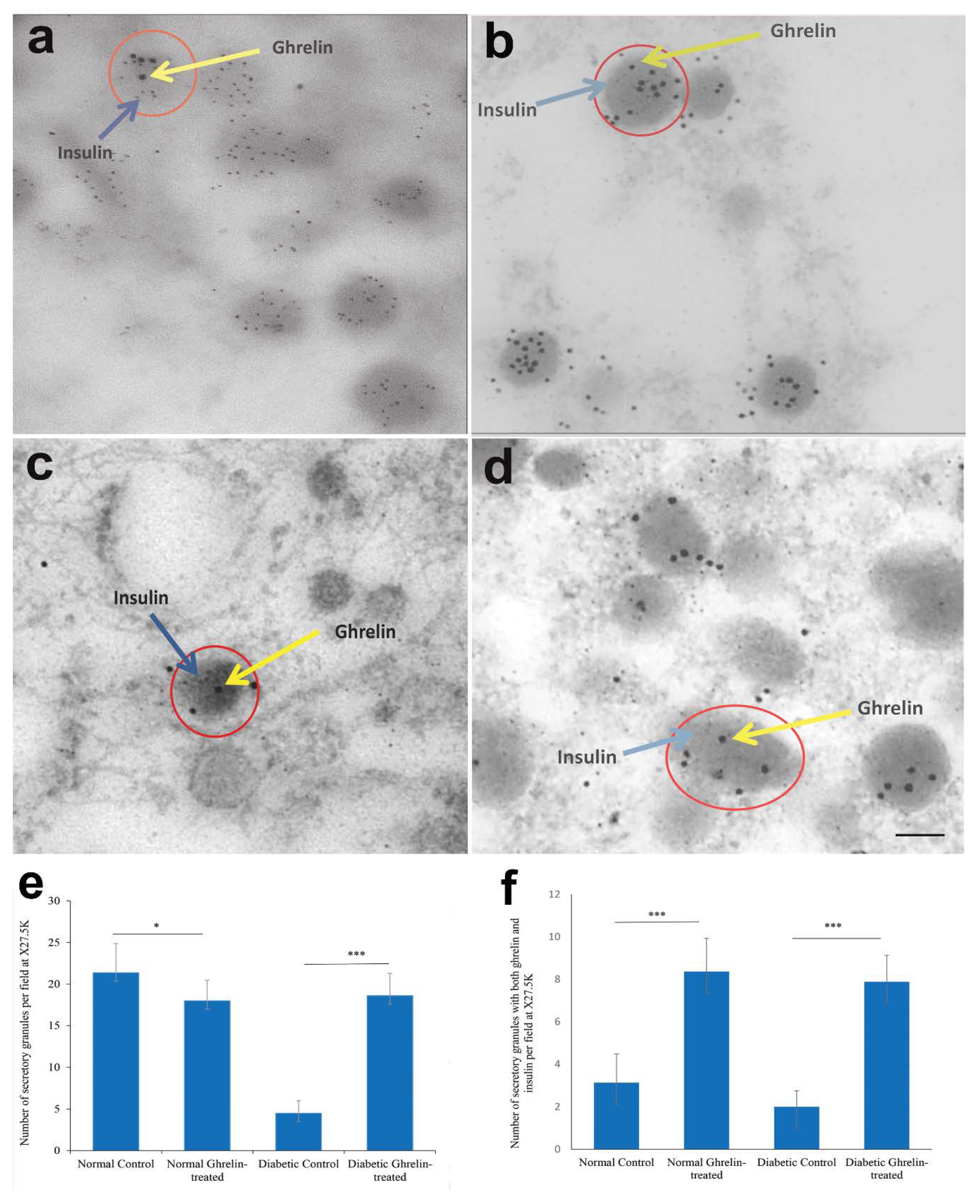 Biomolecules 10 00633 g005 Biomolecules 10 00633 g005