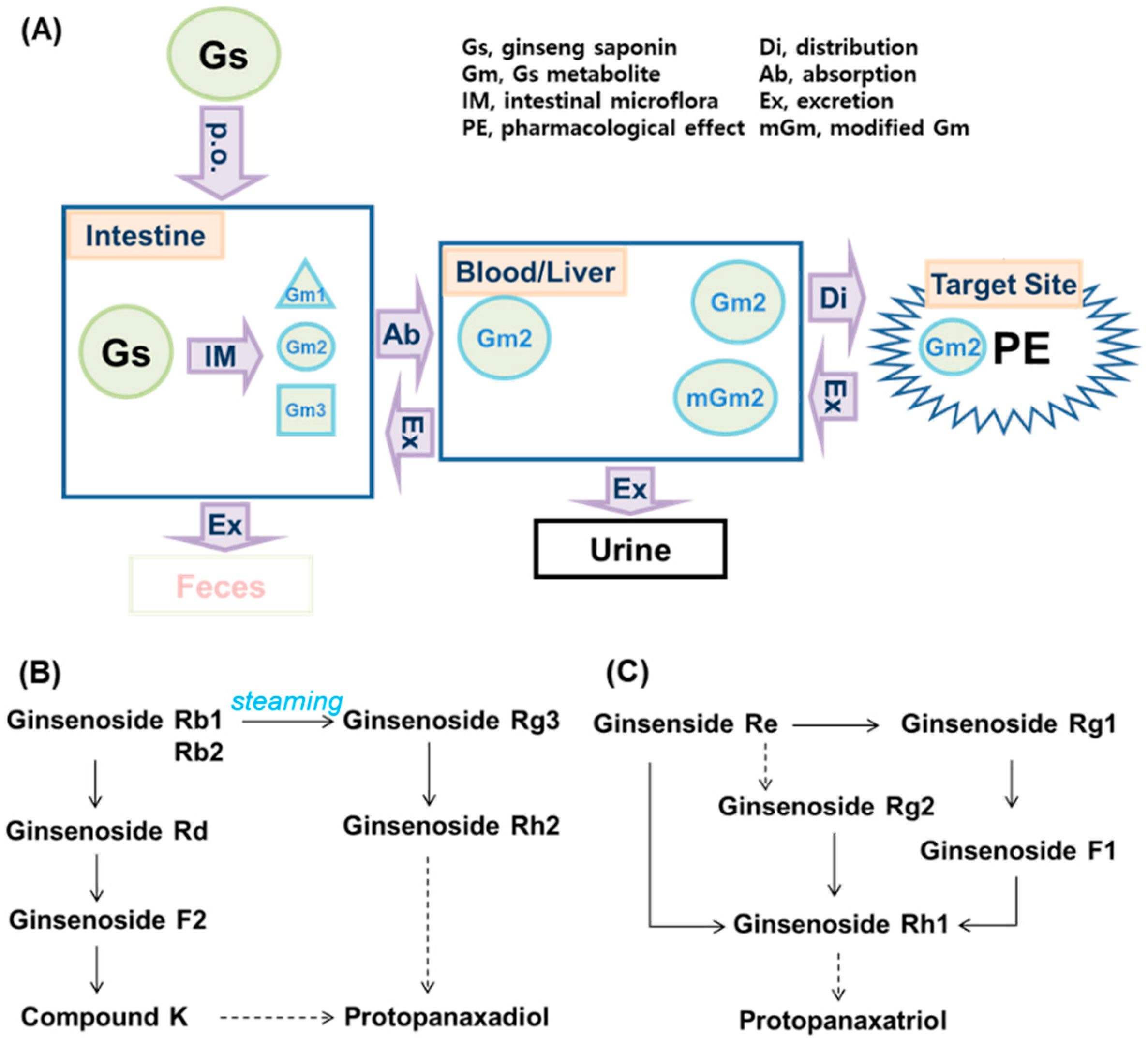 Biomolecules 10 00634 g002
