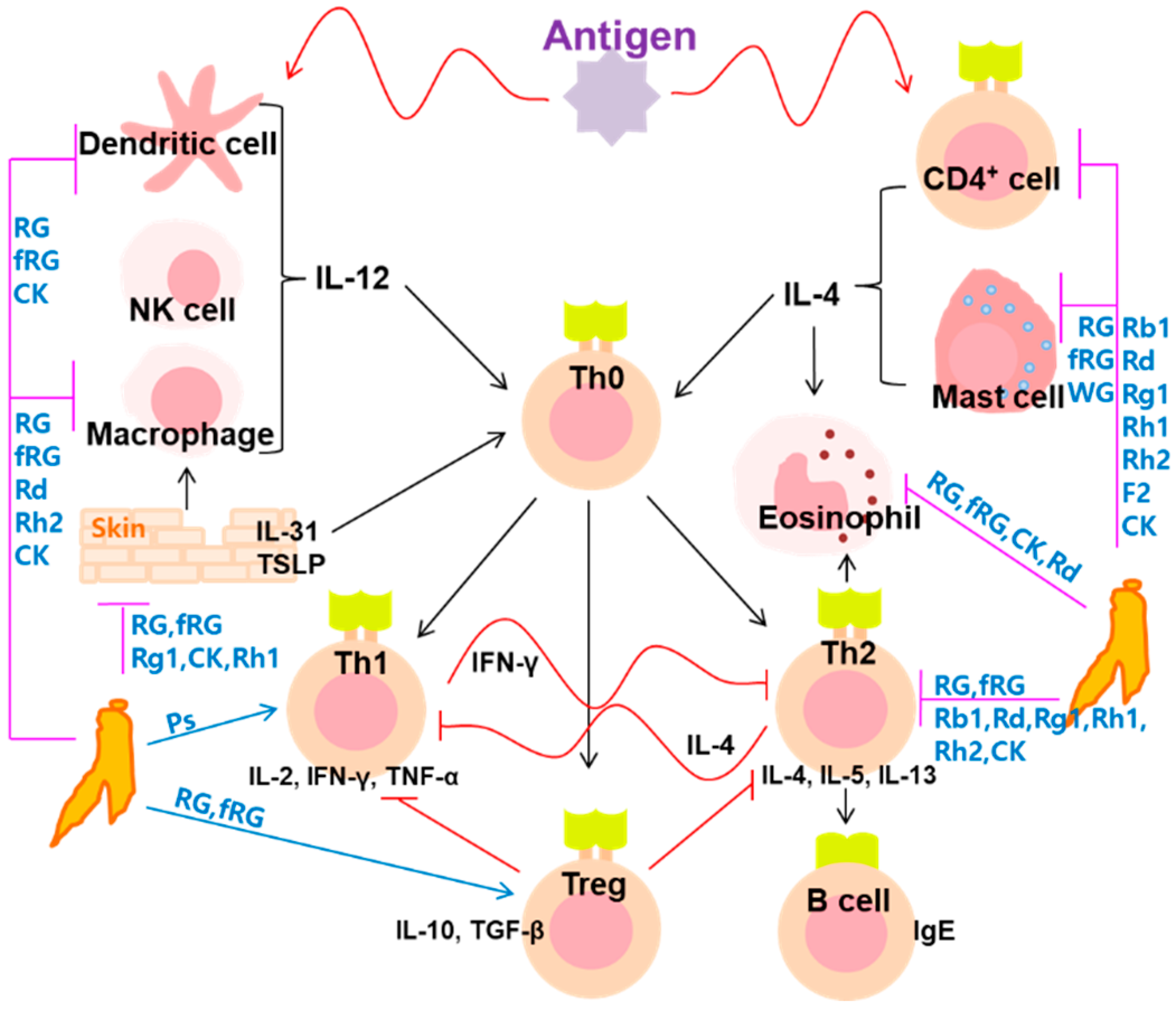 Biomolecules 10 00634 g003