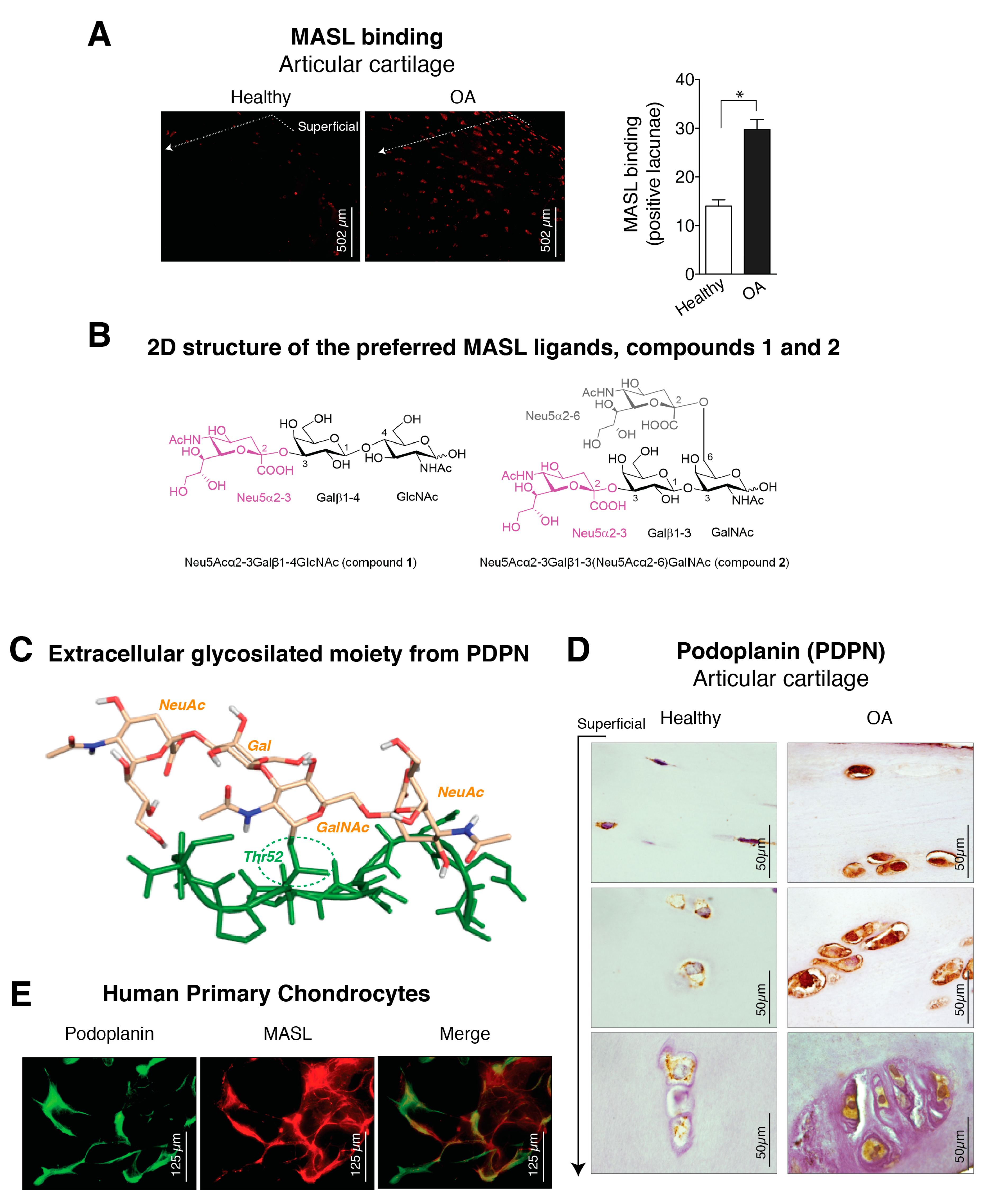 Biomolecules 10 00637 g001 Biomolecules 10 00637 g001