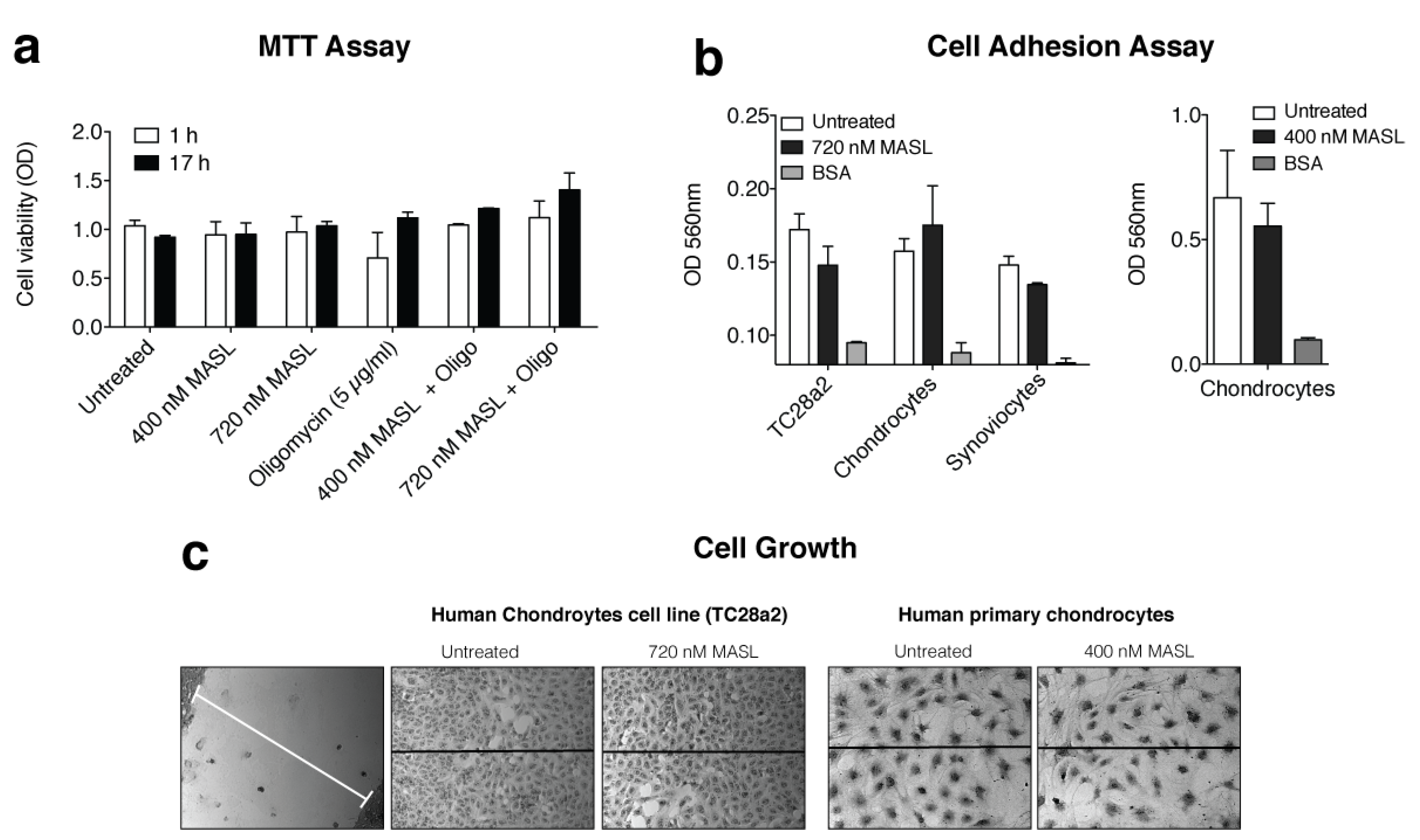 Biomolecules 10 00637 g0a1 Biomolecules 10 00637 g0a1