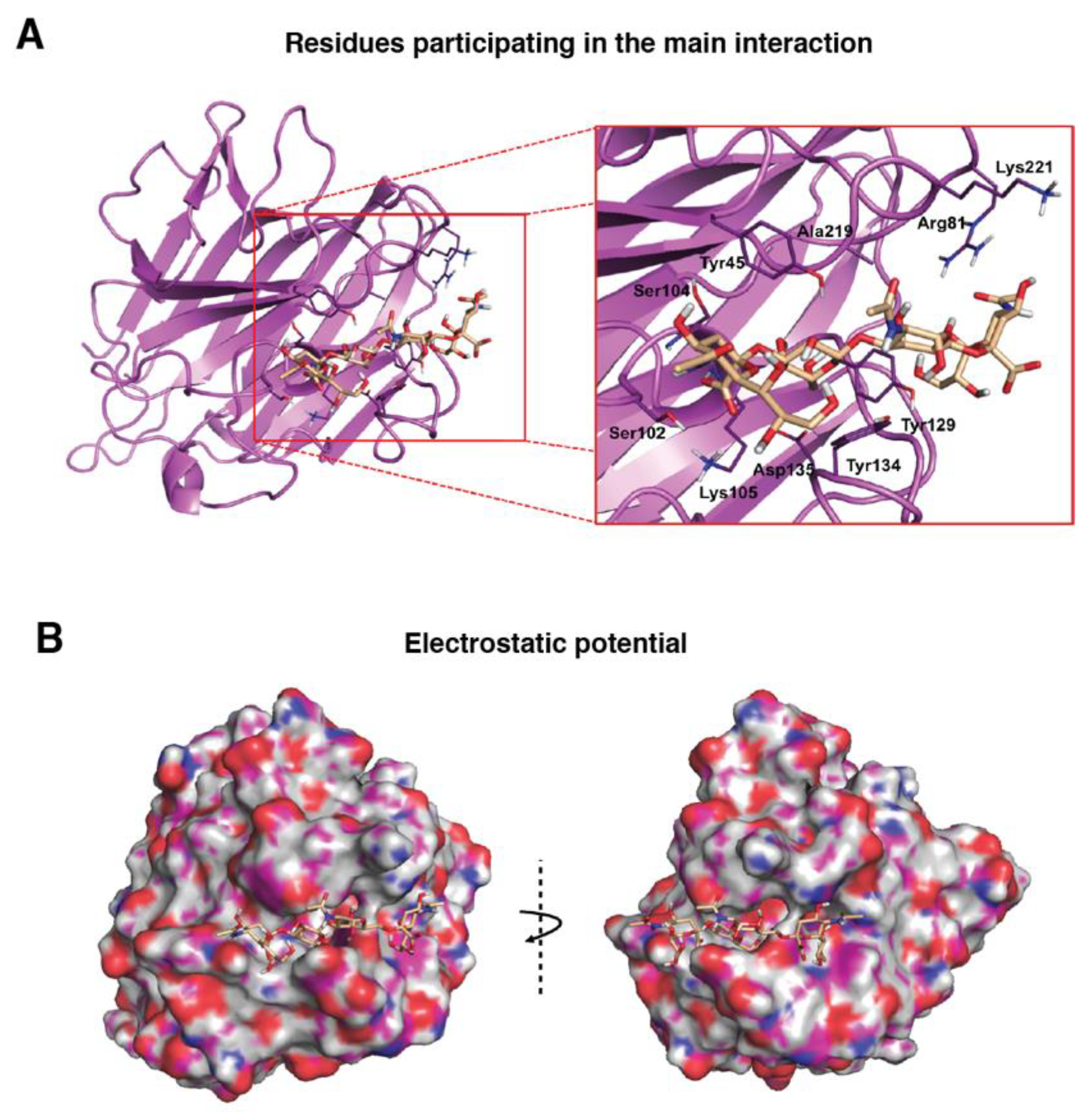 Biomolecules 10 00637 g0a2 Biomolecules 10 00637 g0a2