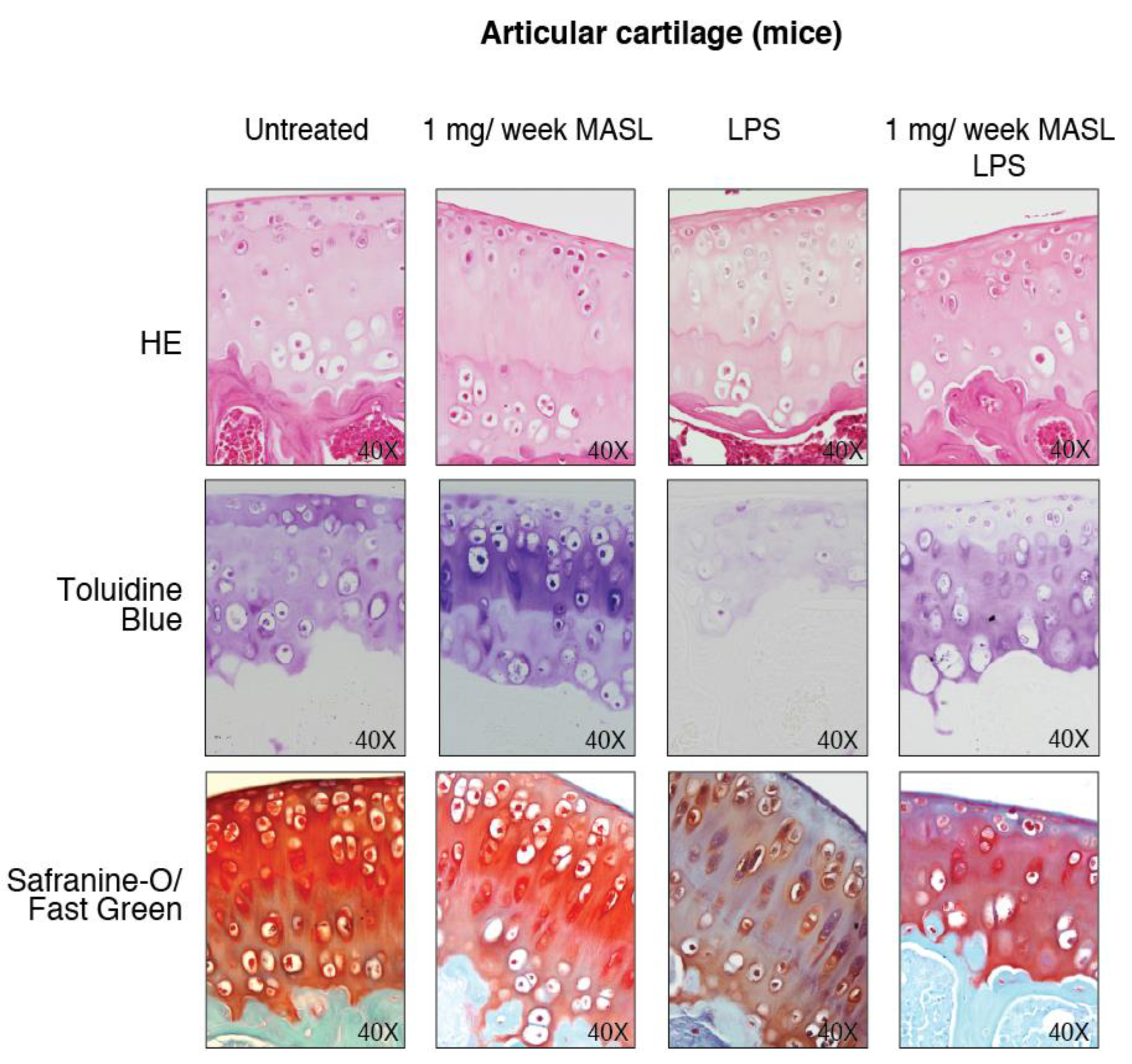 Biomolecules 10 00637 g0a3 Biomolecules 10 00637 g0a3
