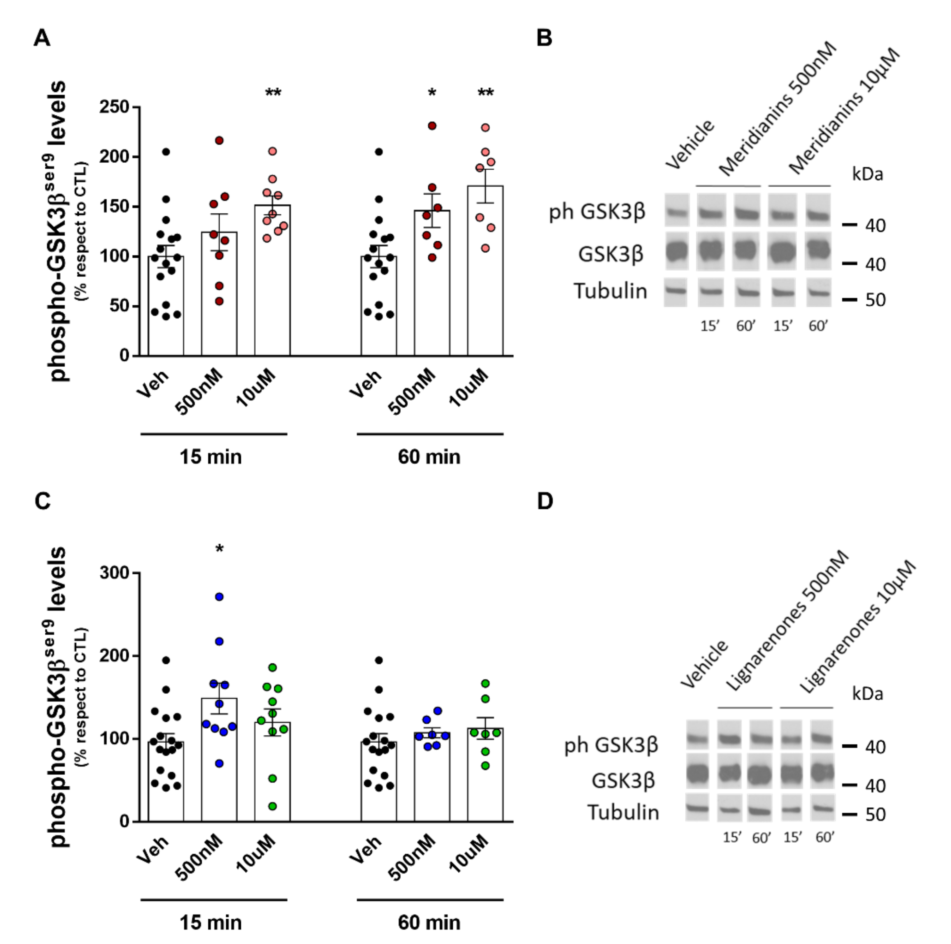 Biomolecules 10 00639 g006 Biomolecules 10 00639 g006