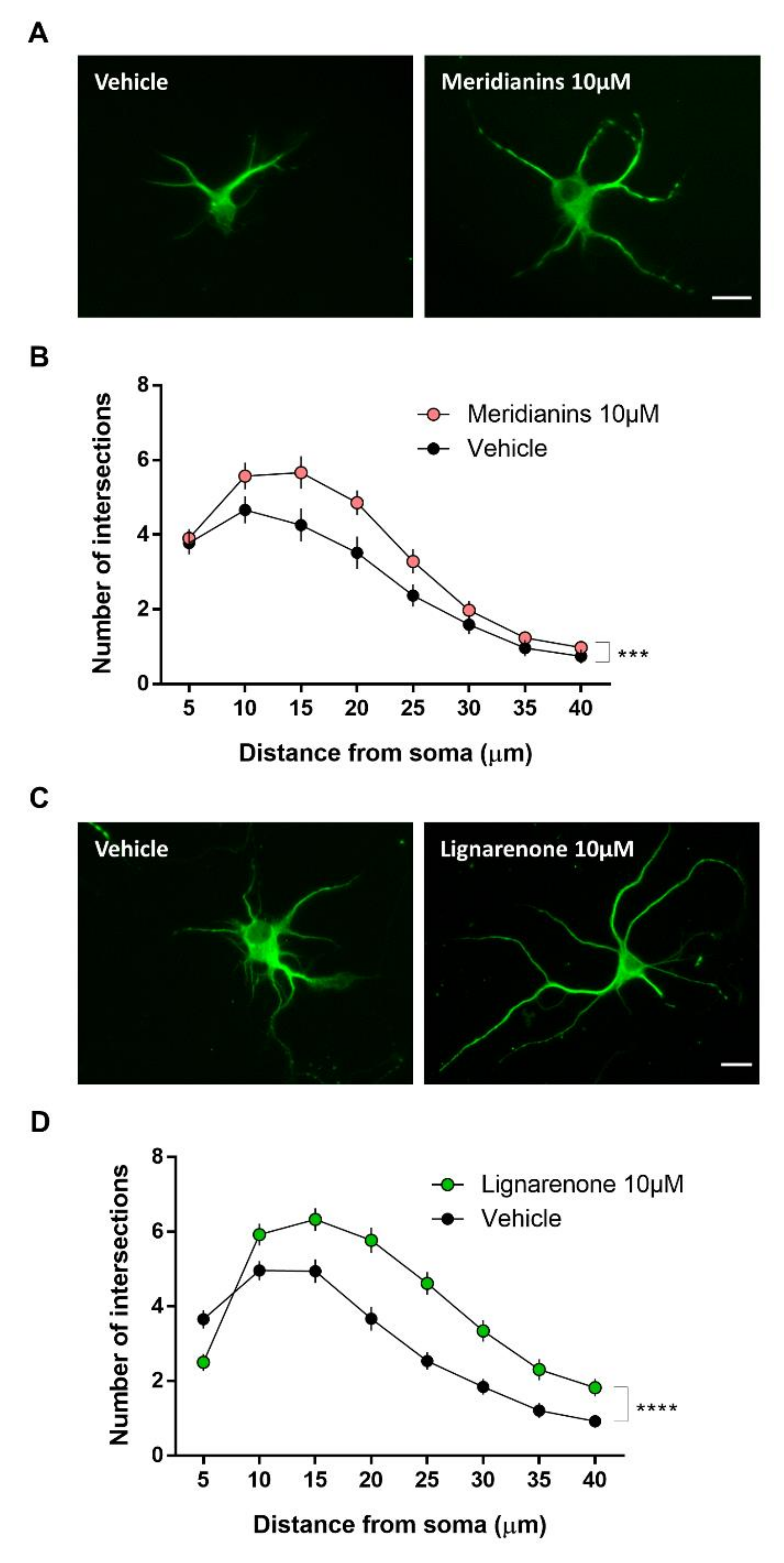 Biomolecules 10 00639 g007 Biomolecules 10 00639 g007