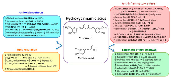 Biomolecules Free Full Text Phenolic Compounds Exerting Lipid Regulatory Anti Inflammatory And Epigenetic Effects As Complementary Treatments In Cardiovascular Diseases Html Biomolecules Free Full Text Phenolic Compounds Exerting Lipid Regulatory Anti Inflammatory And Epigenetic Effects As Complementary Treatments In Cardiovascular Diseases Html