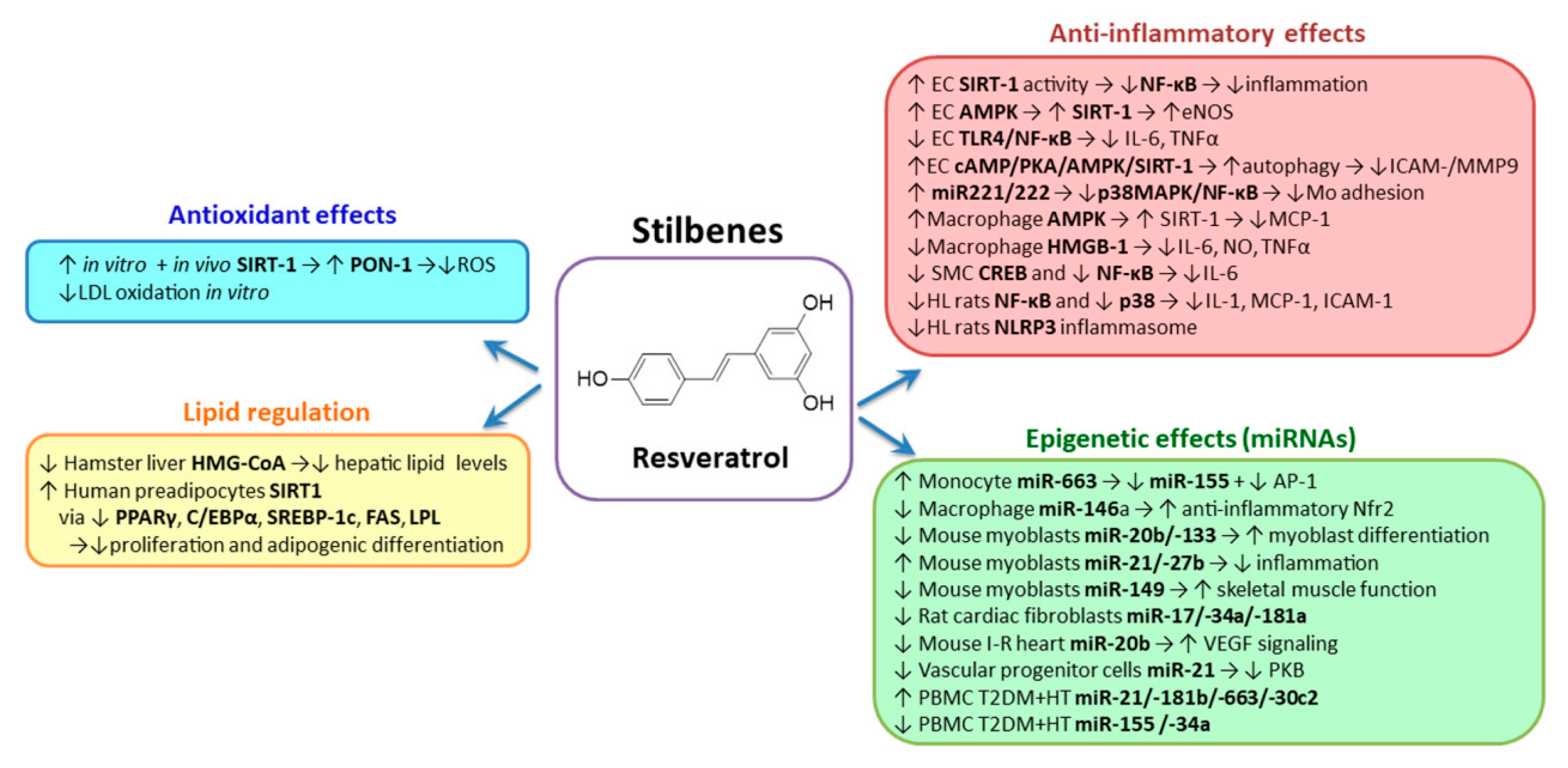 Biomolecules 10 00641 g002