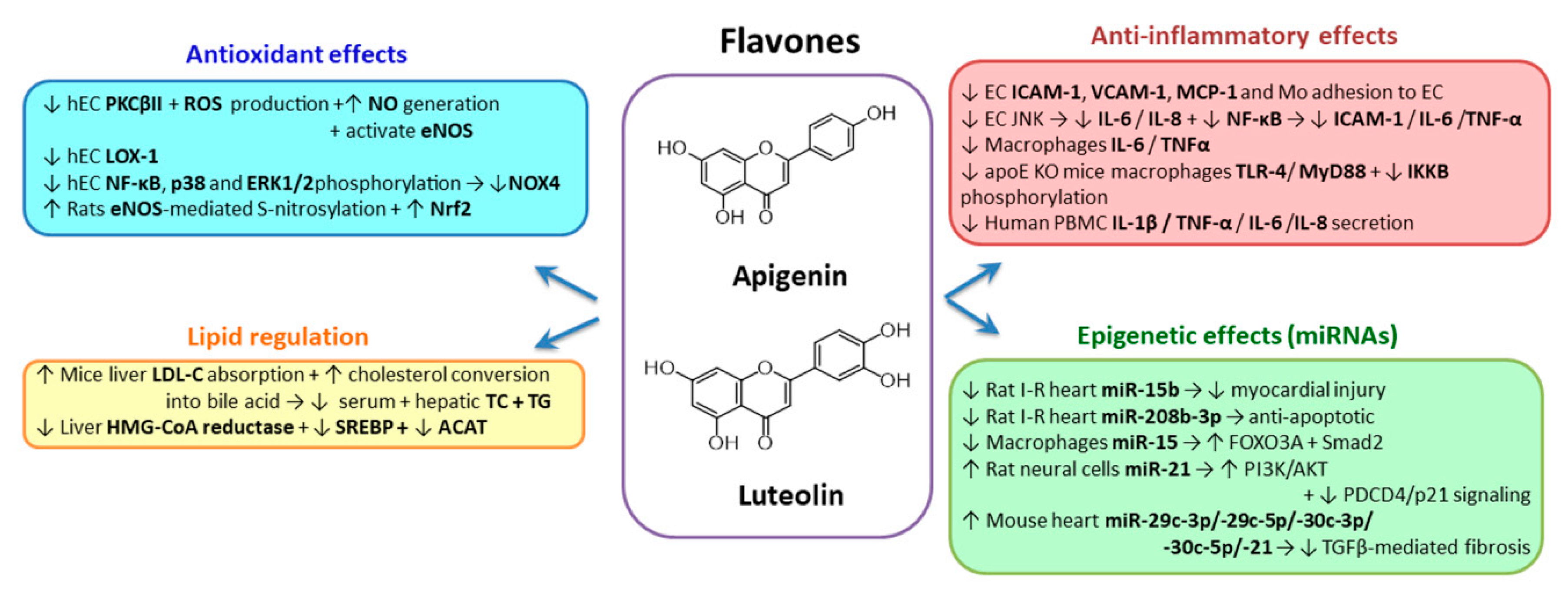 Biomolecules 10 00641 g004