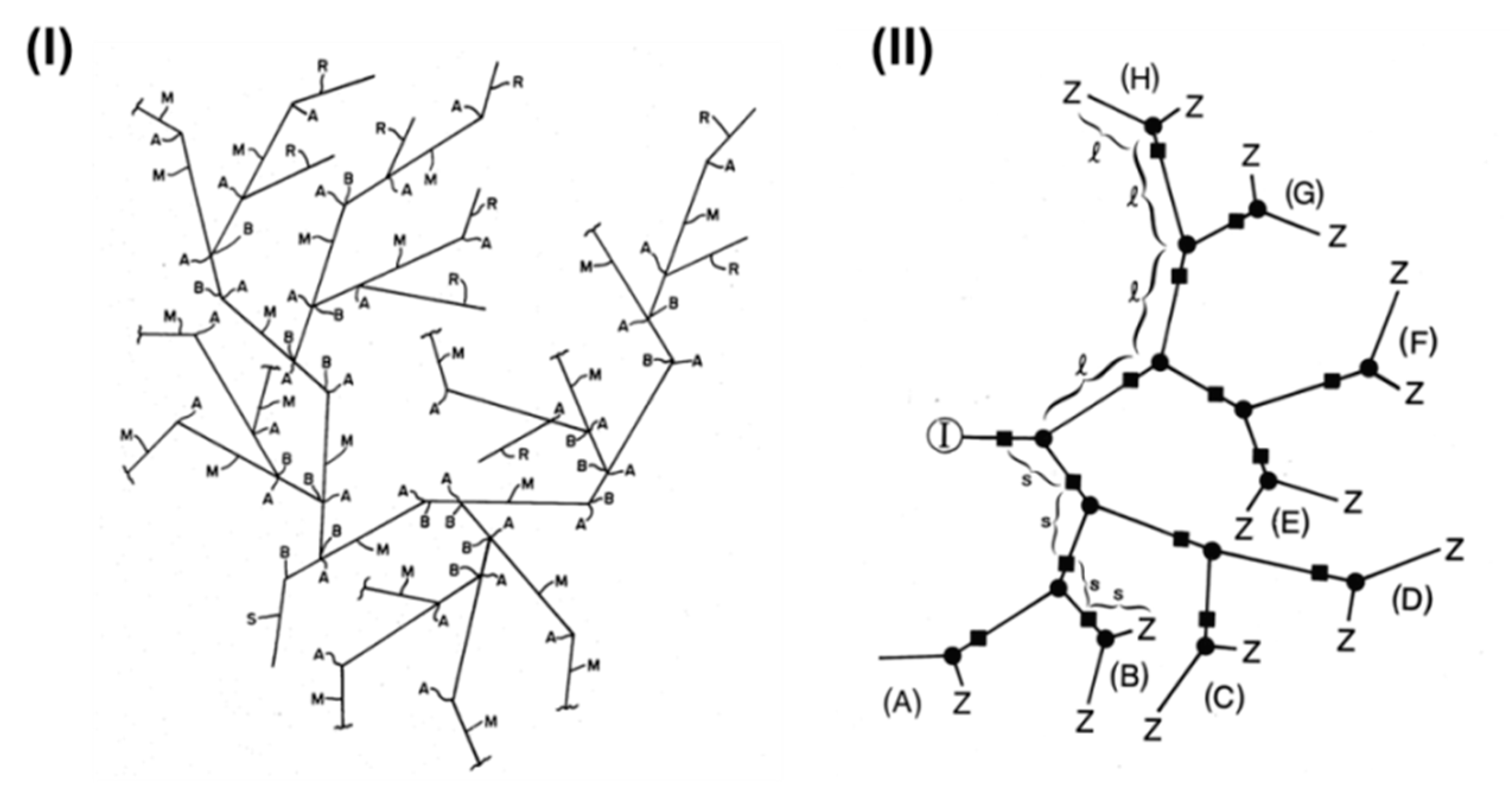 Biomolecules 10 00642 g003