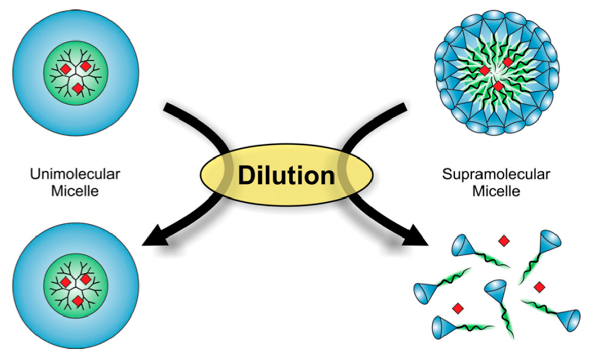 Biomolecules 10 00642 g008