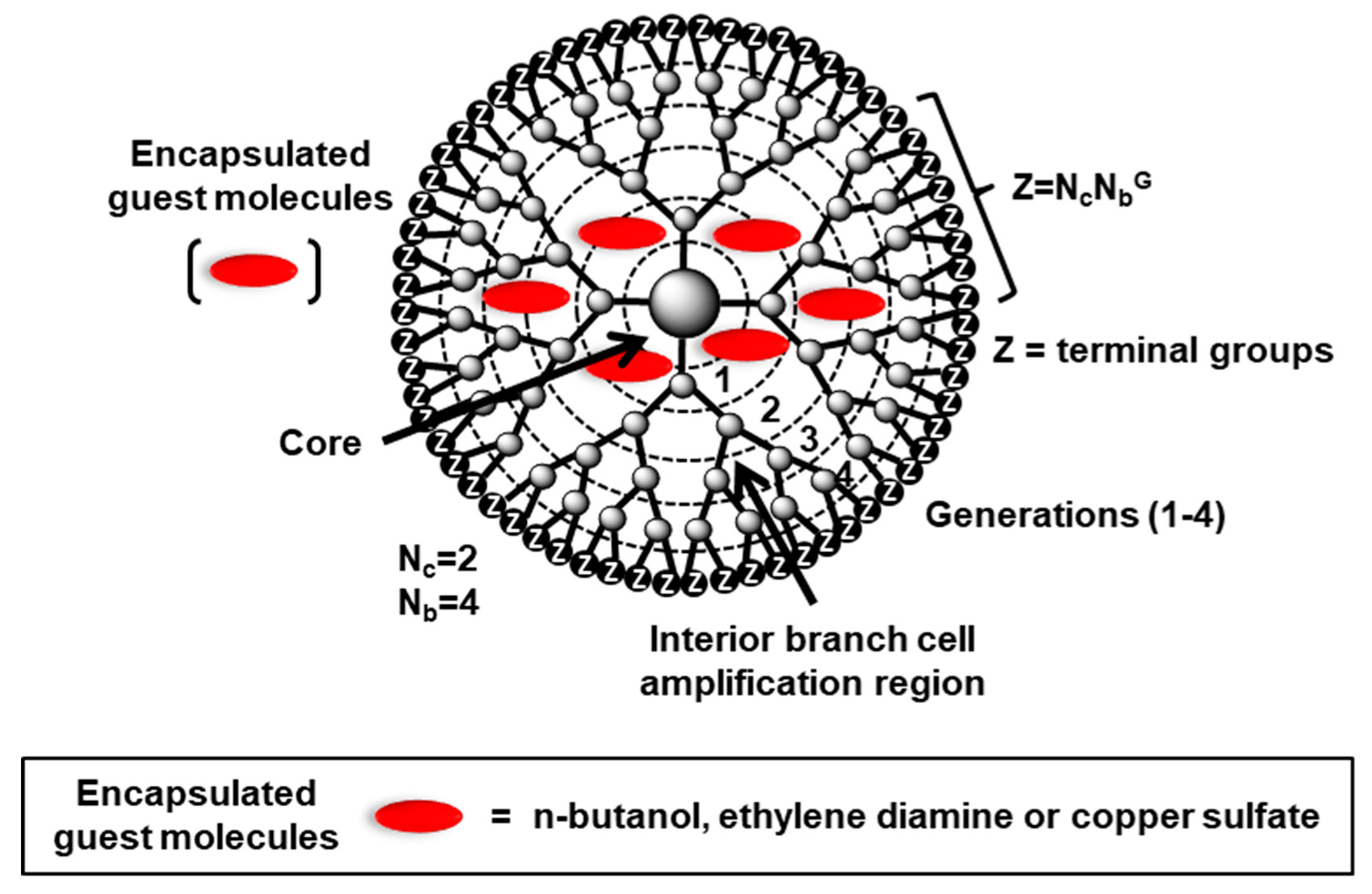 Biomolecules 10 00642 g010
